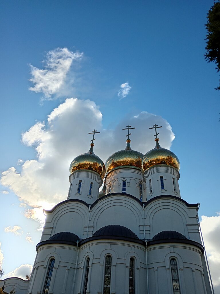 Православный храм Церковь Преображения Господня в Жуковском, Жуковский, фото