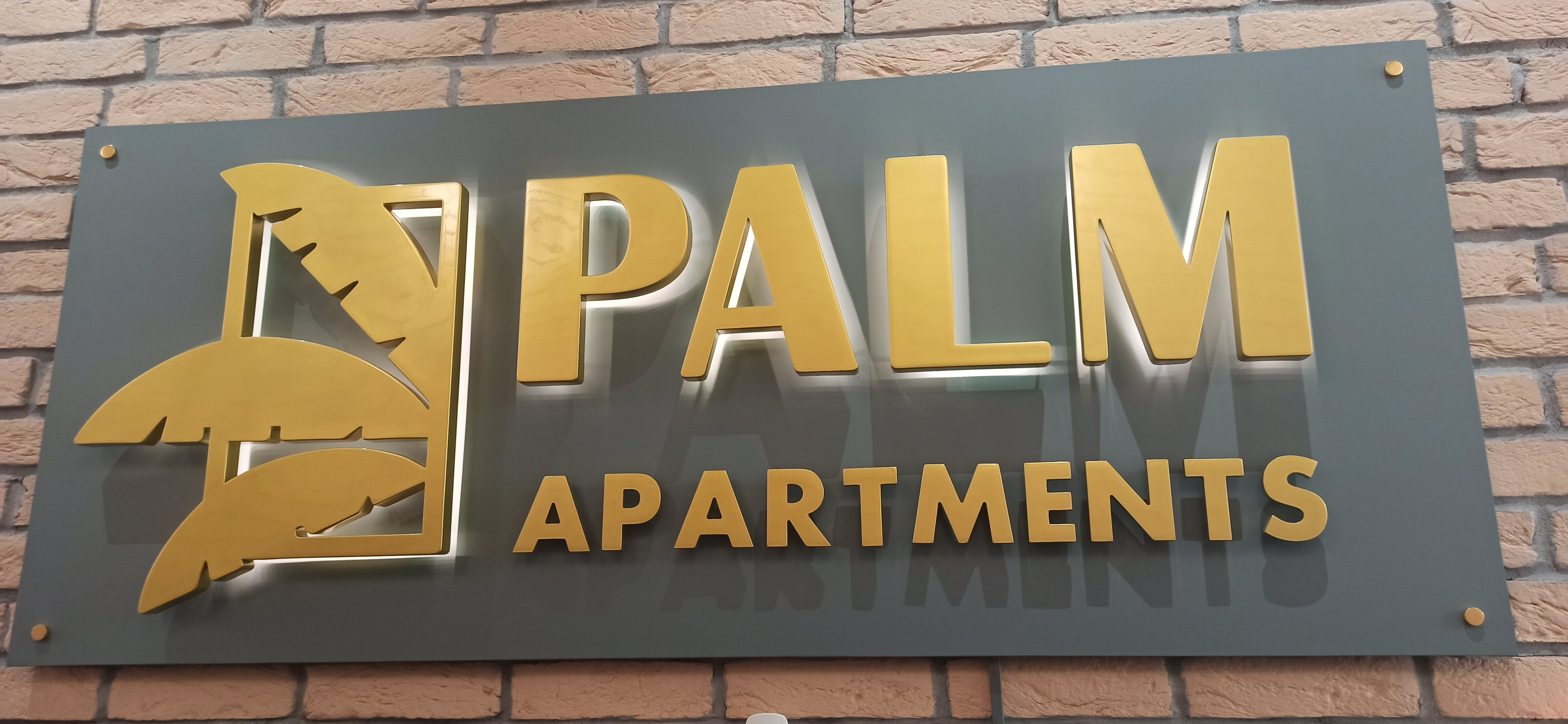 Фото Пальма