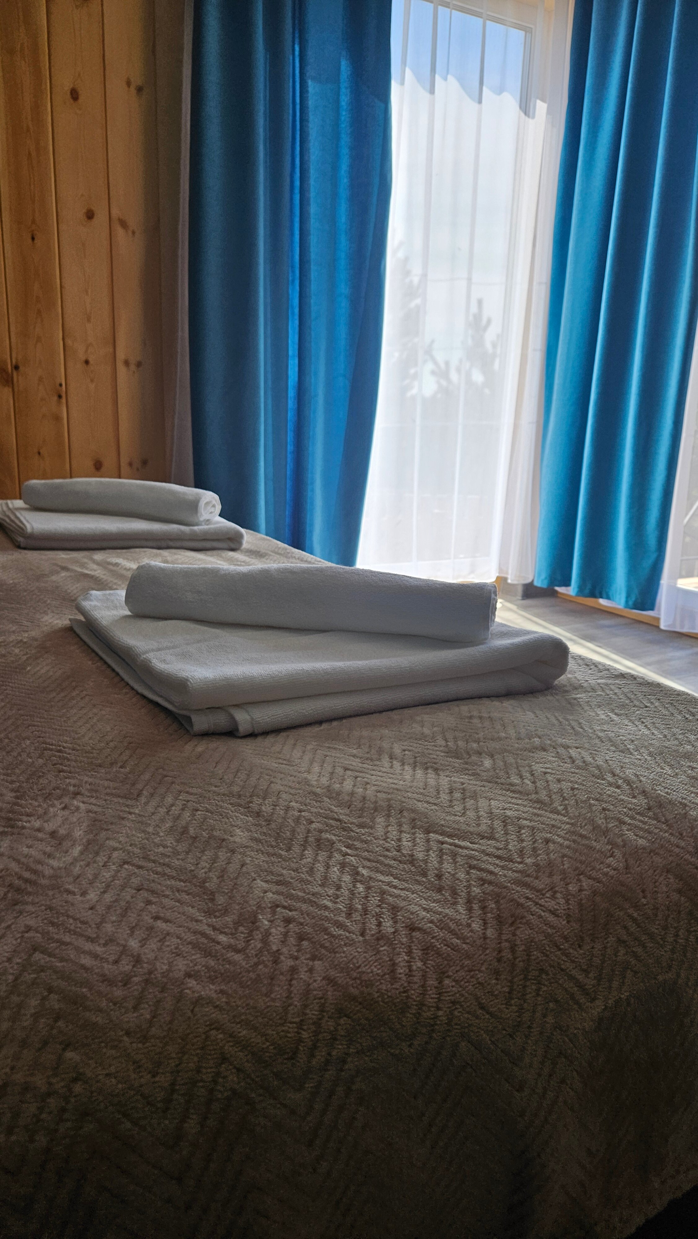 Фото Брусника