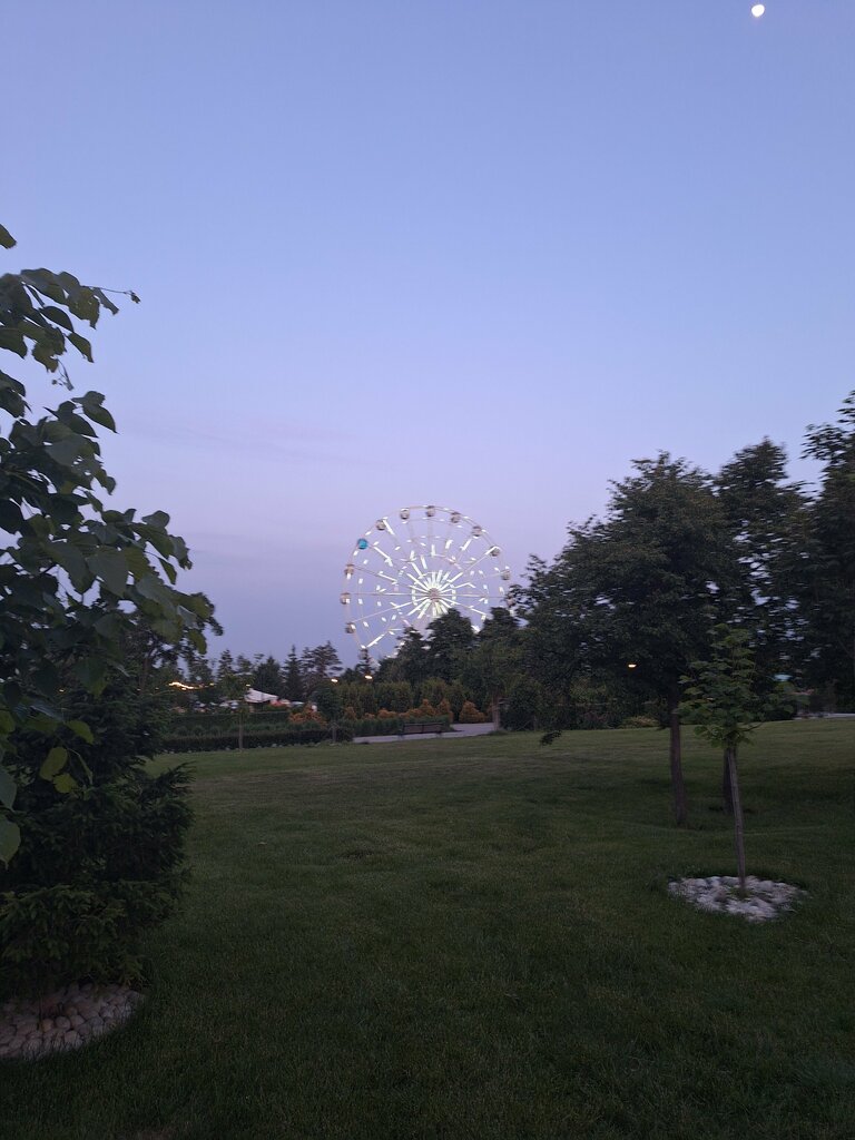 Amusement ride Ferris wheel, Volgograd, photo