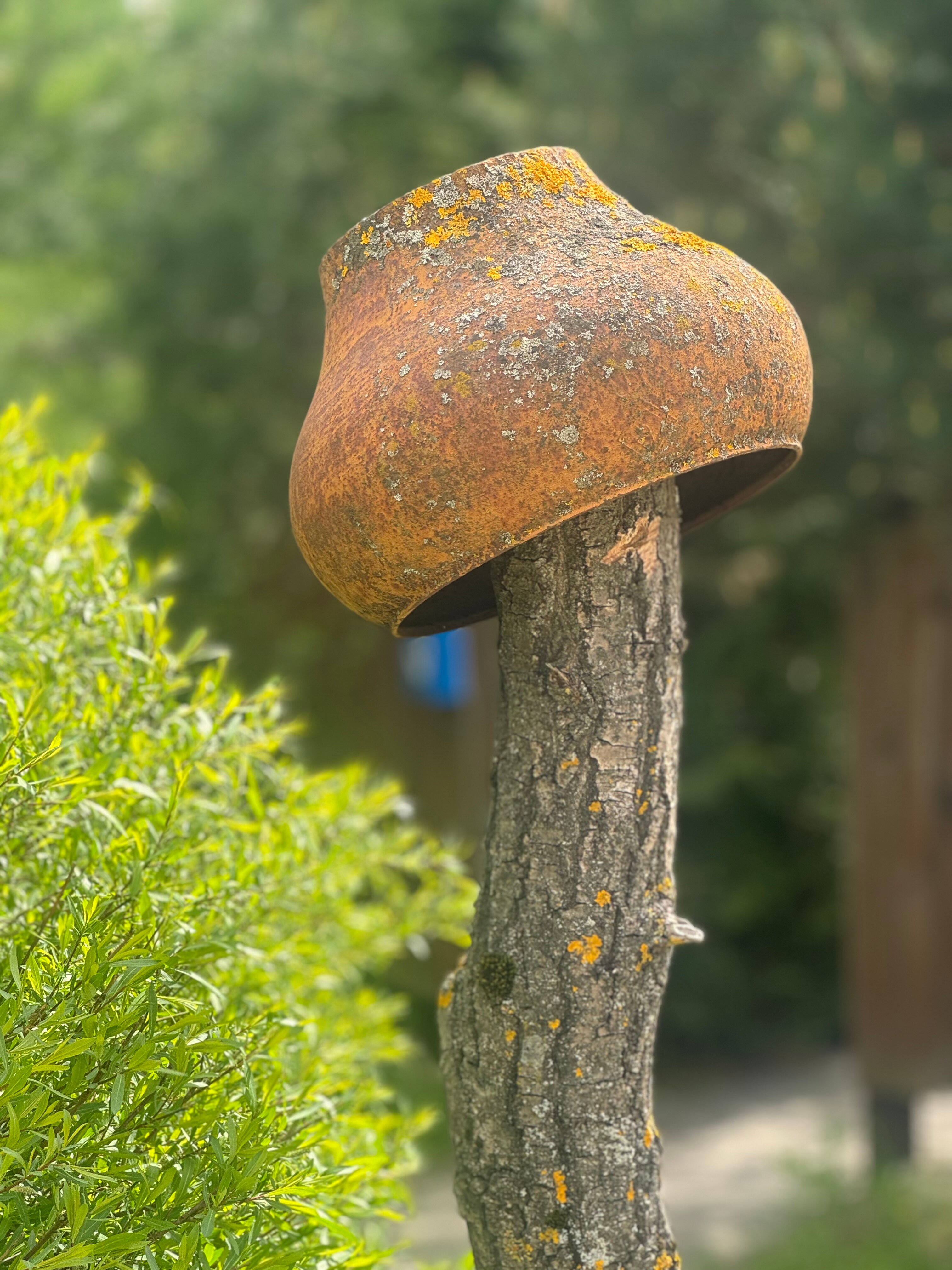 Фото Усадьба Варваровка