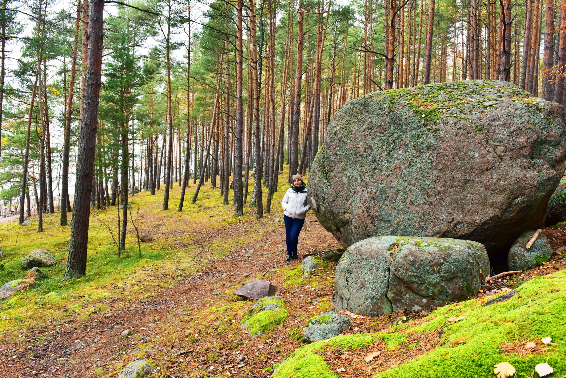 Фото Домик Коиви