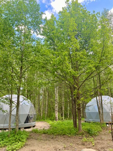 Глэмпинг Озеро Ле в Дубне
