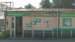Pitomec (Janqoja Batyr kóshesi, 91/3), tienda de animales