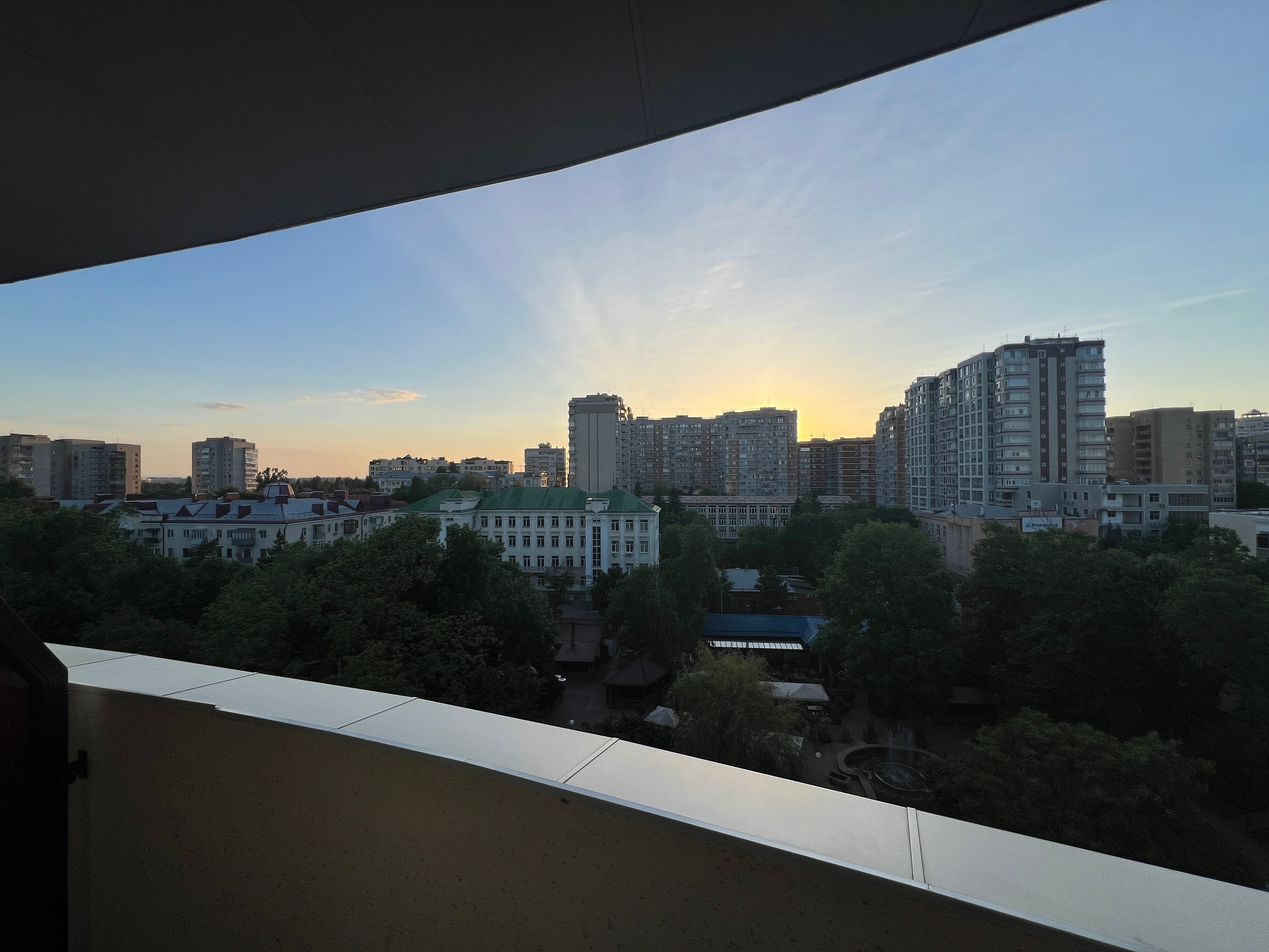 Фото Платан Южный