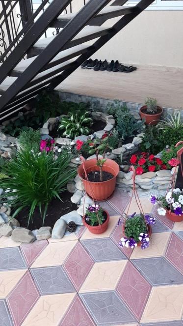 Фото Санрайз