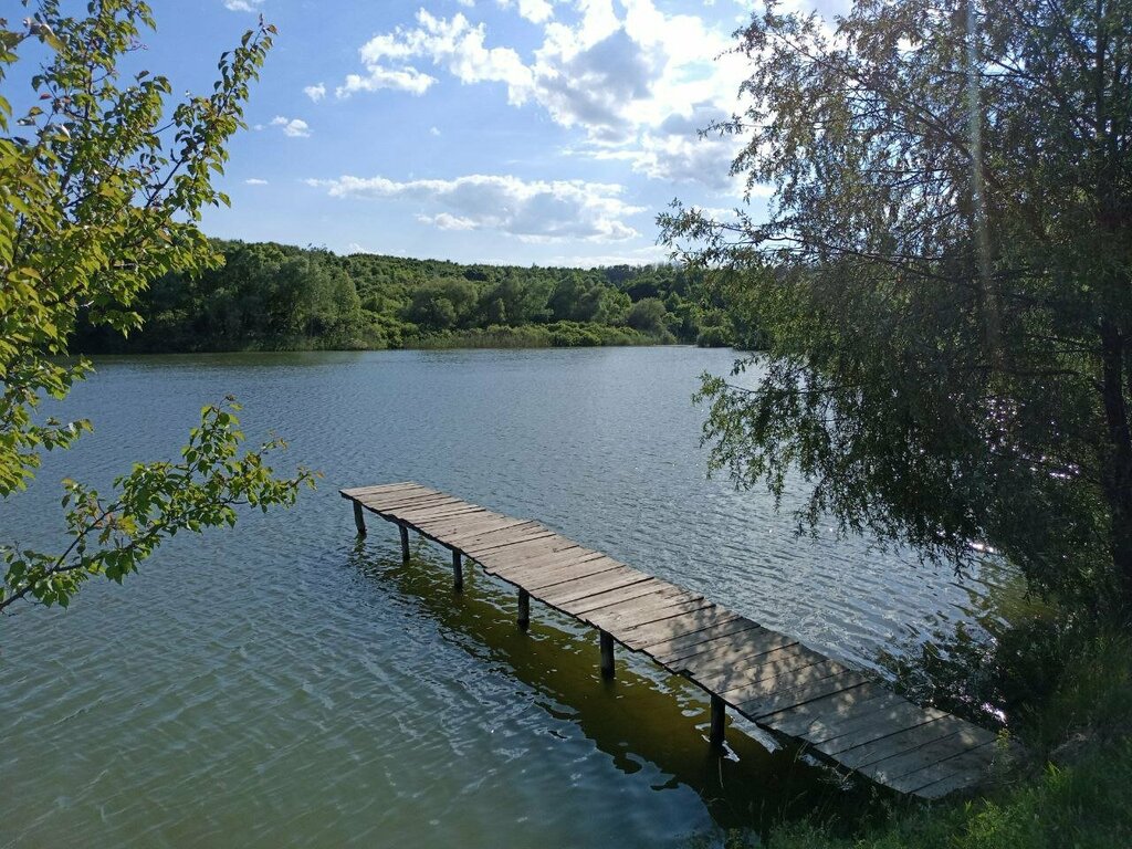 Nature reserve Оопт регионального значения комплексный заказник урочище и водоемы Сендеевы пруды, Belgorod Oblast, photo