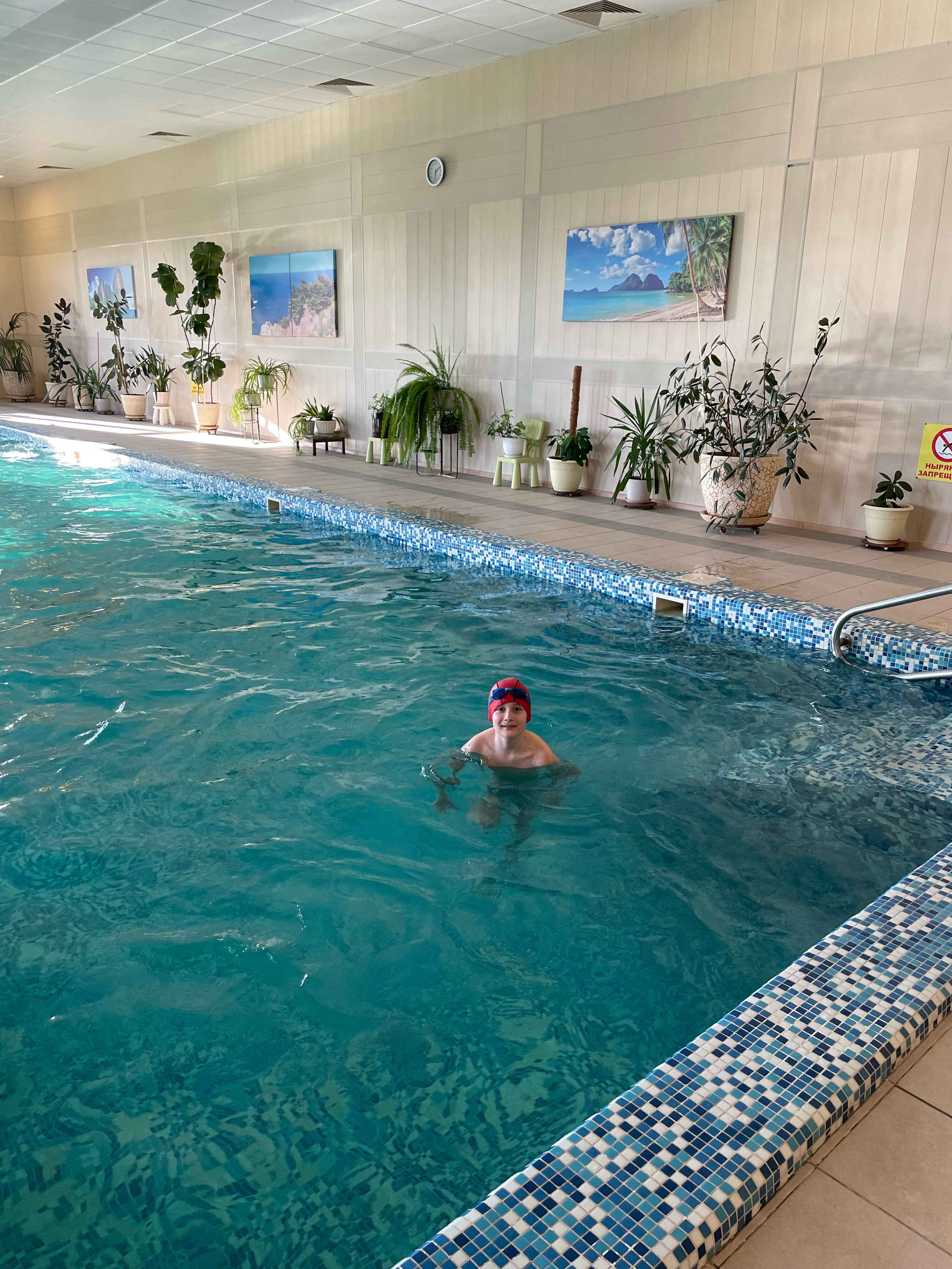 Фото Иволга