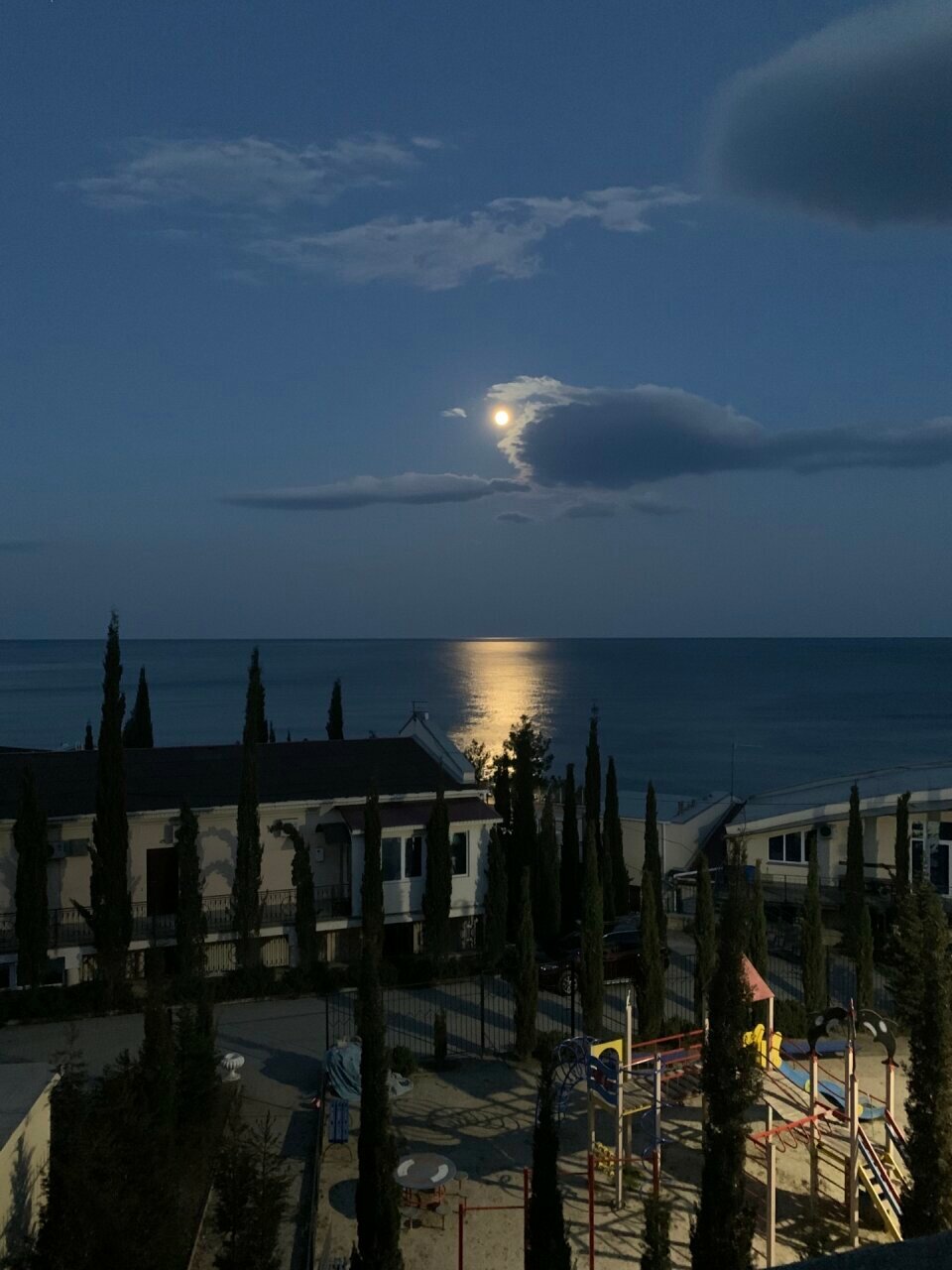 Фото Лаванда