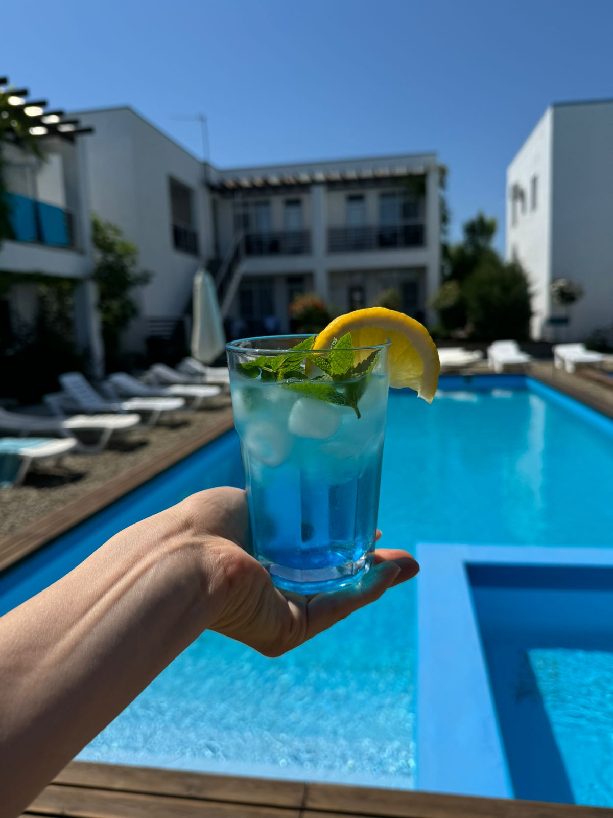 Фото Гранд Камелия