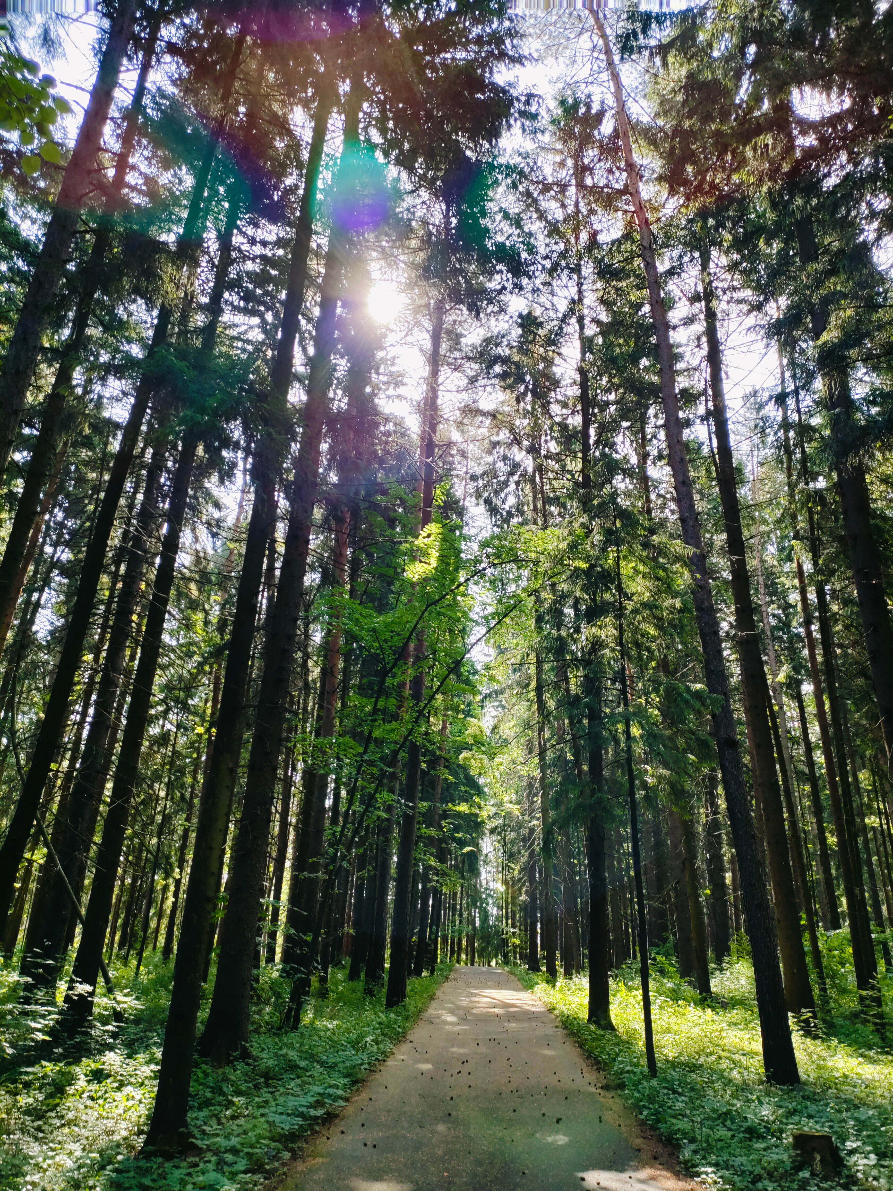 Фото Атлас Парк-отель