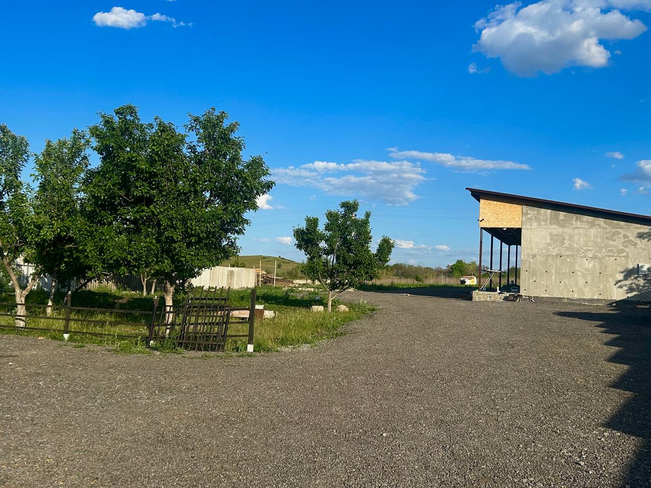 Фото Московский