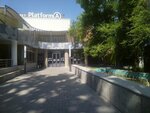 Kazmyaso.platforma (Ablai Khan Avenue, 125), cafe