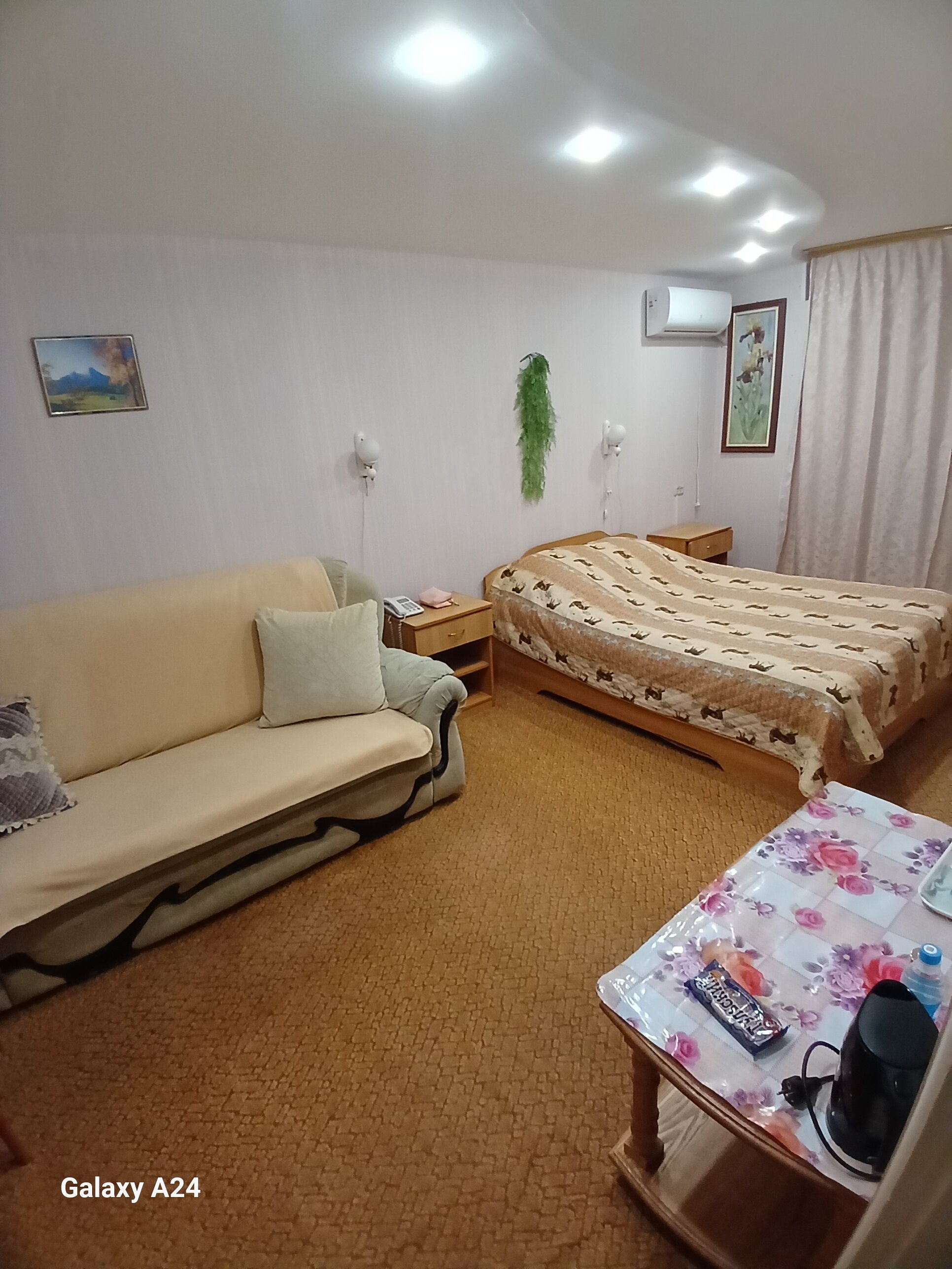 Фото Лаванда