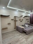 Hunnkatt (Urban-type Settlement of Nakhabino, Novaya Lesnaya ulitsa, 9к2), custom furniture