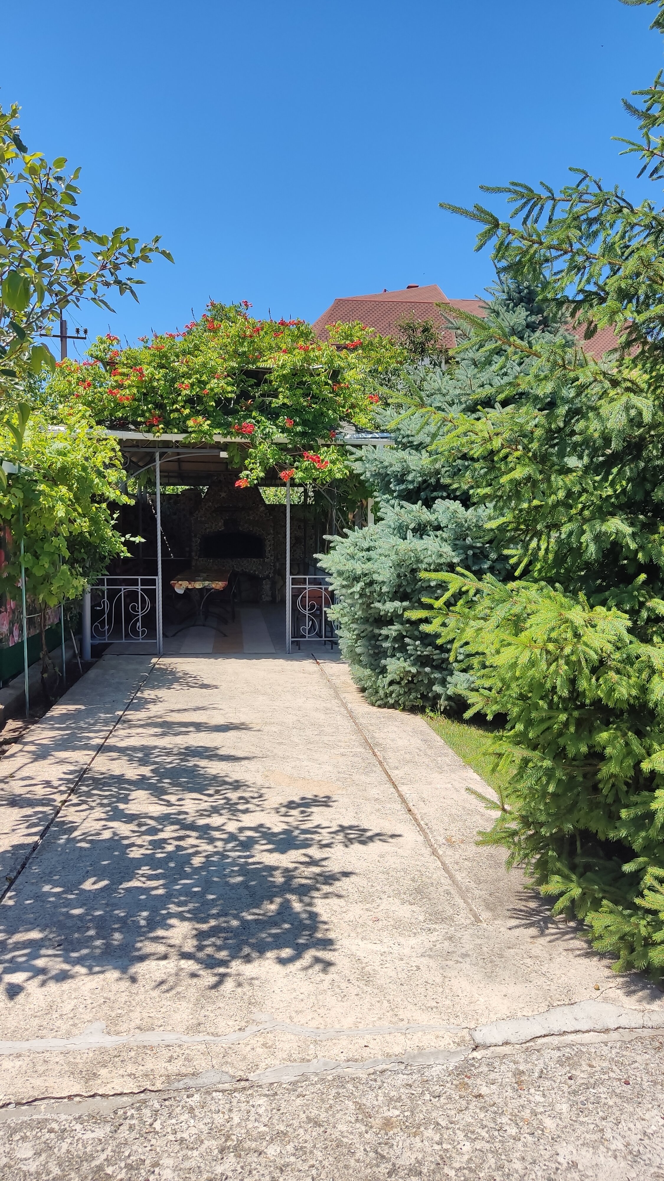 Фото ВИКТОРиЯ