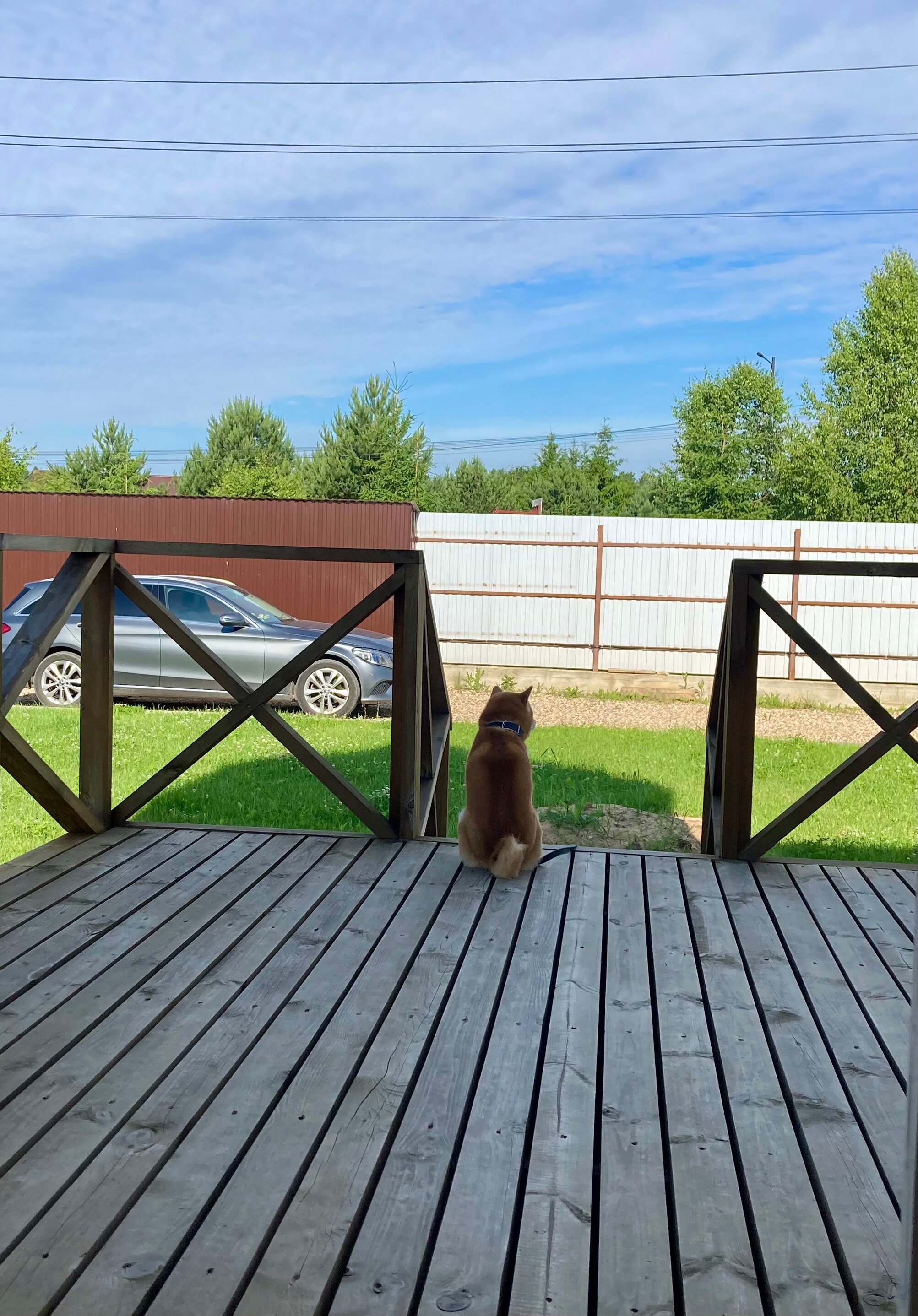 Фото Барнхаус Сова