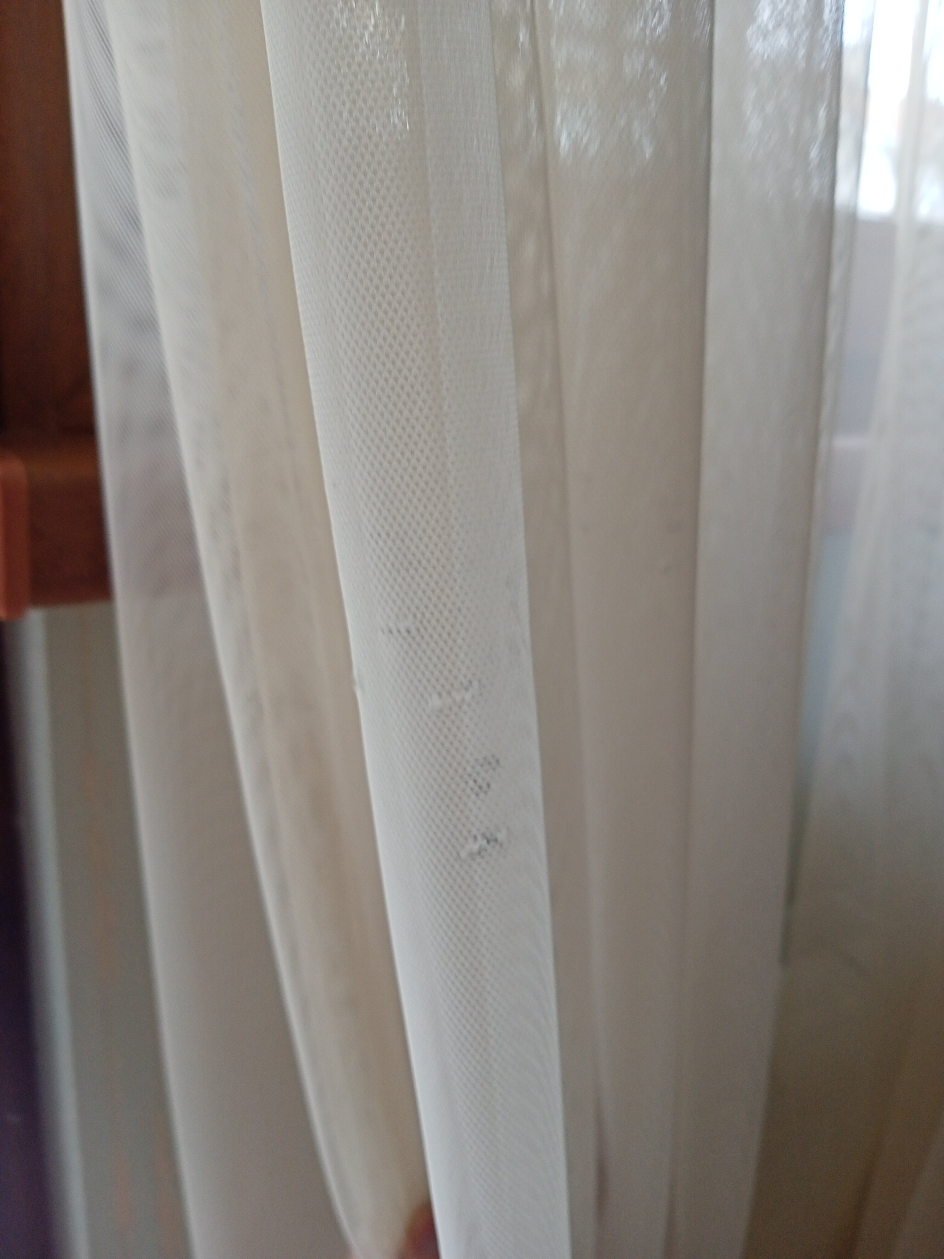 Фото Аморе Мио