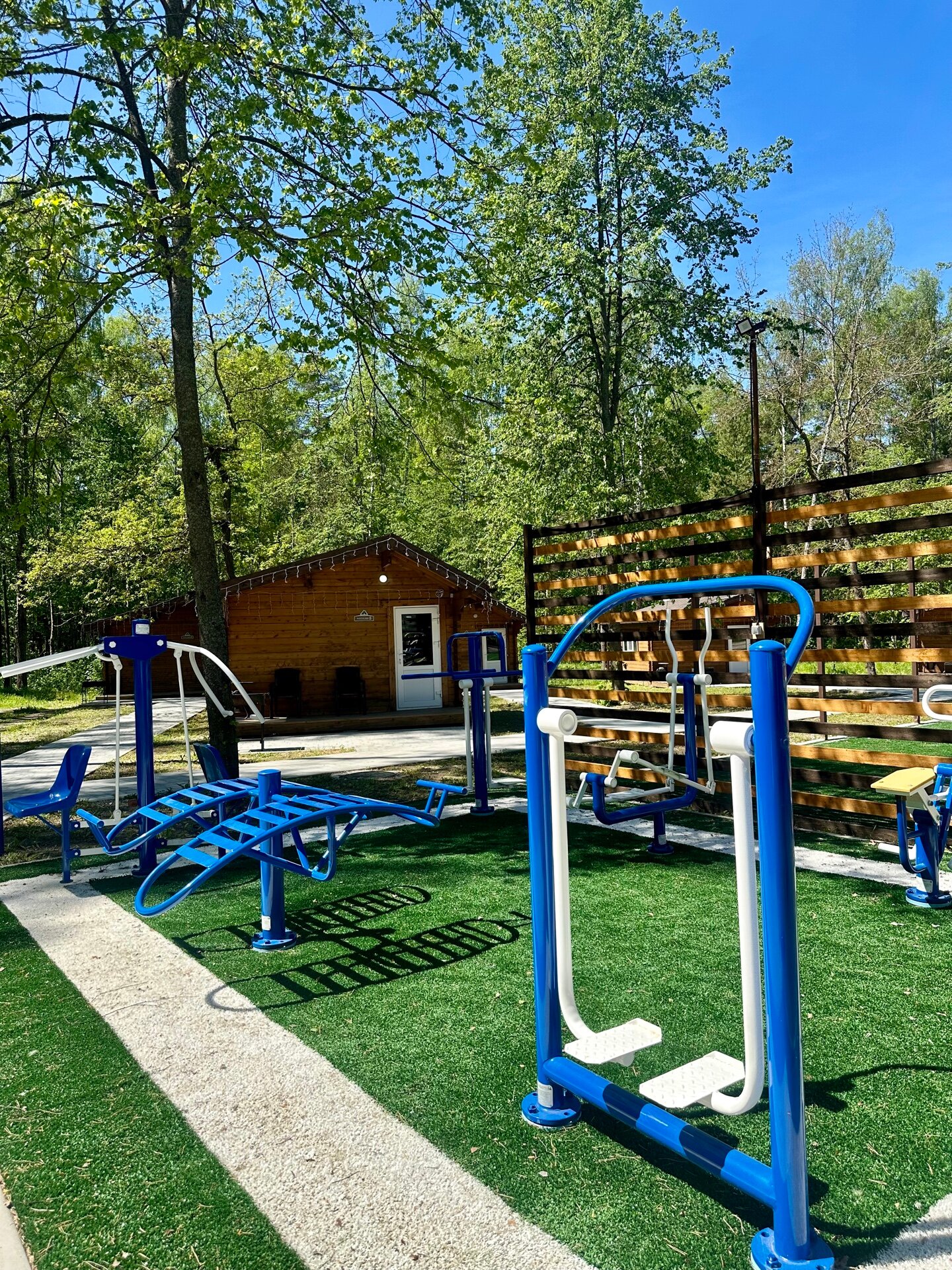 Фото Подберёзовик