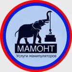 Мамонт (Krasnodar Territory, Sochi Resort City Urban District, selo Baranovka (Khostinskiy rayon), Rechnoy pereulok), haulage