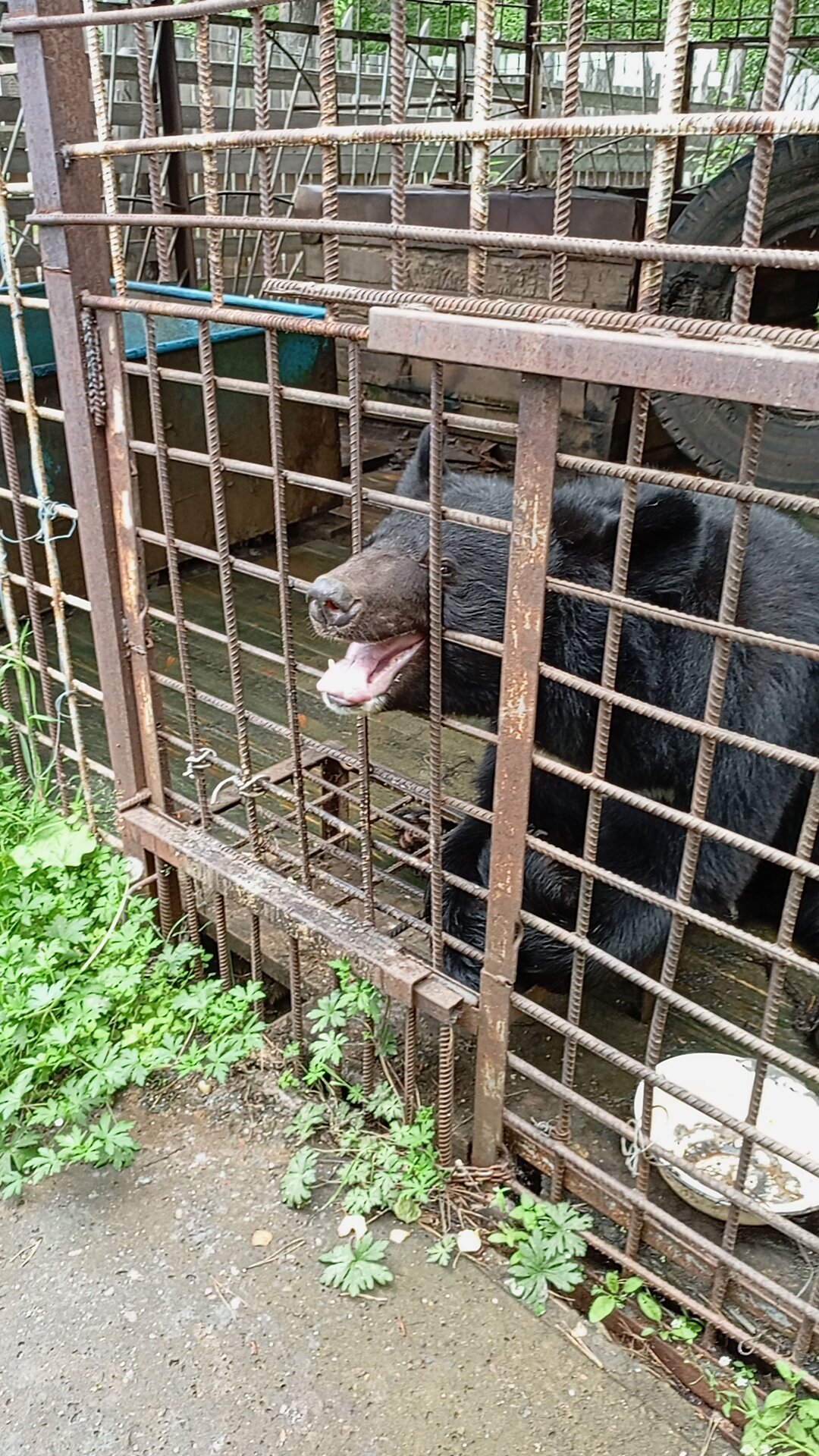 Фото Медвежий угол