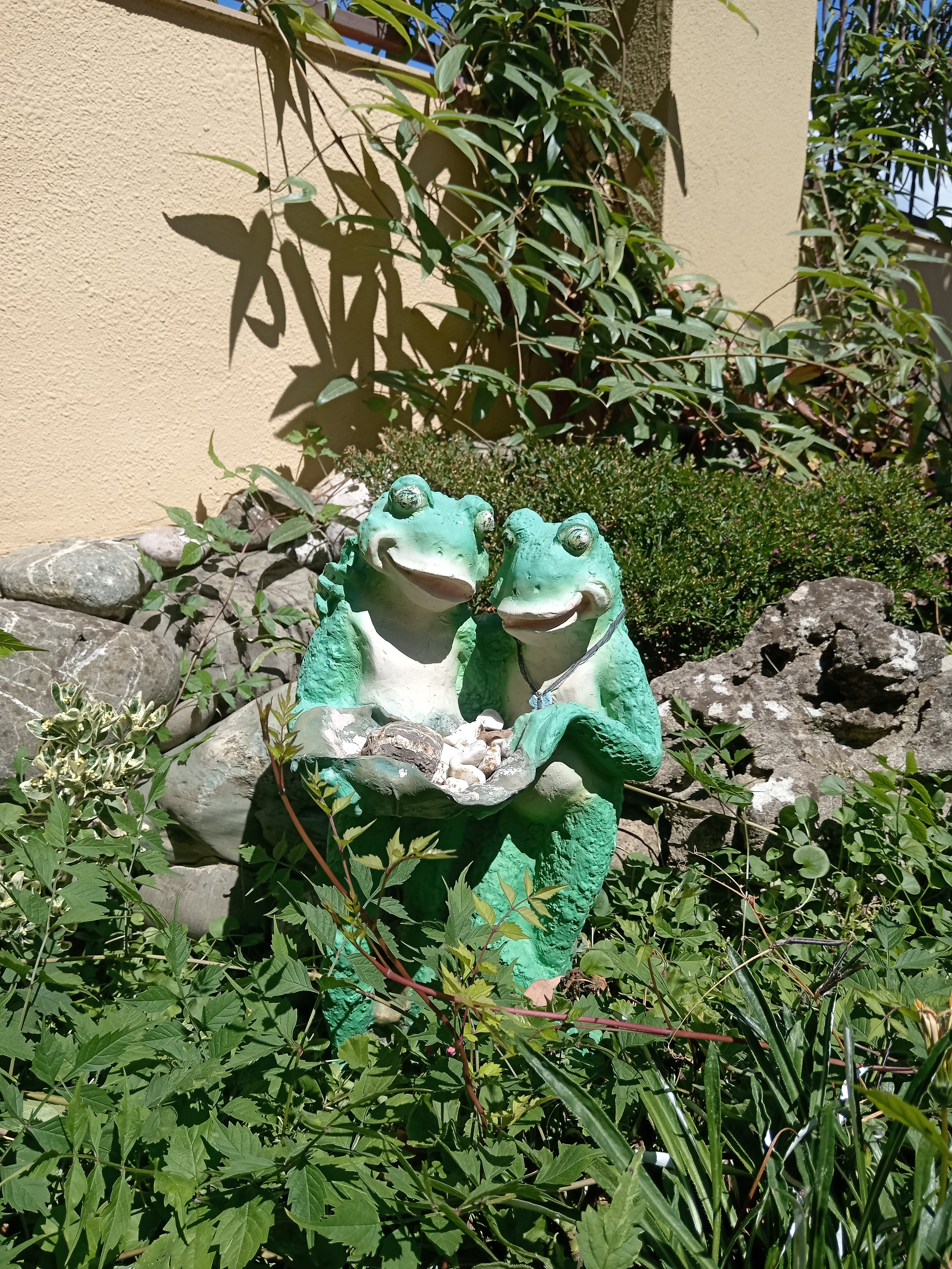 Фото Страна магнолий