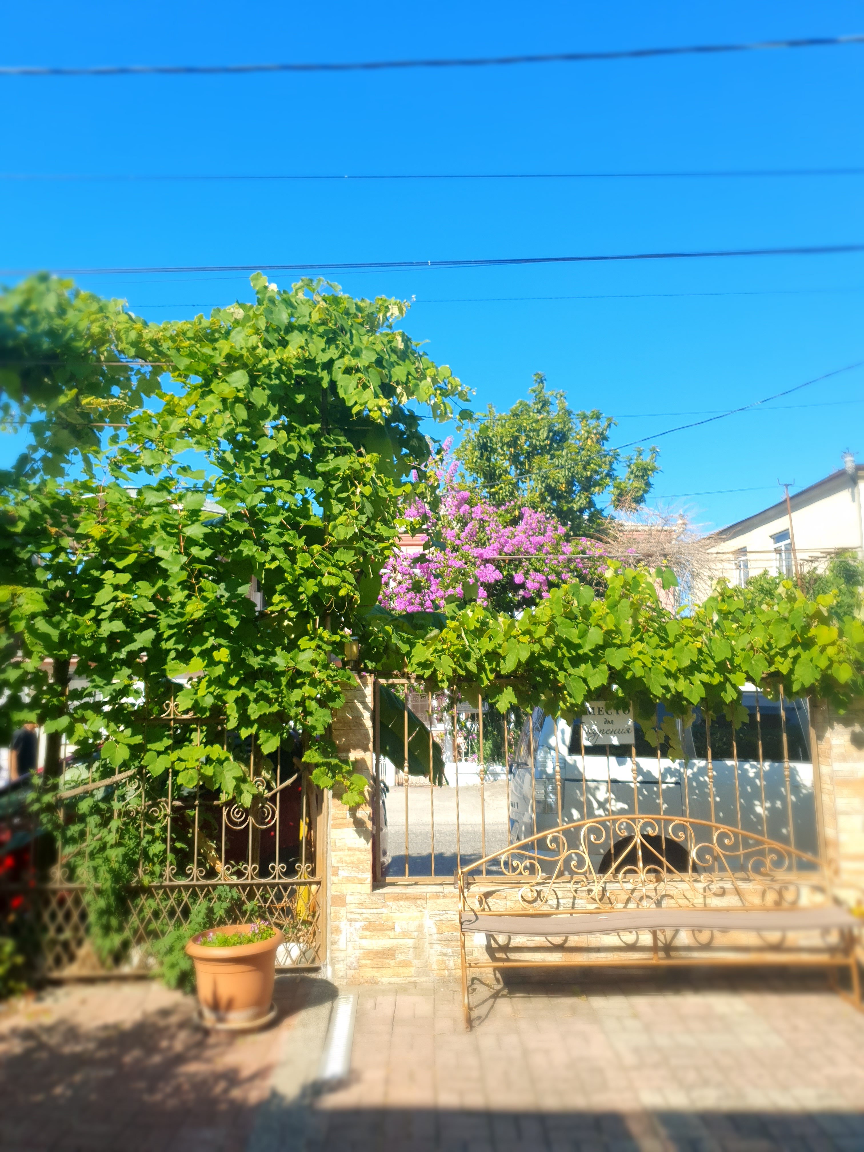 Фото Мини-гостиница Marco Club