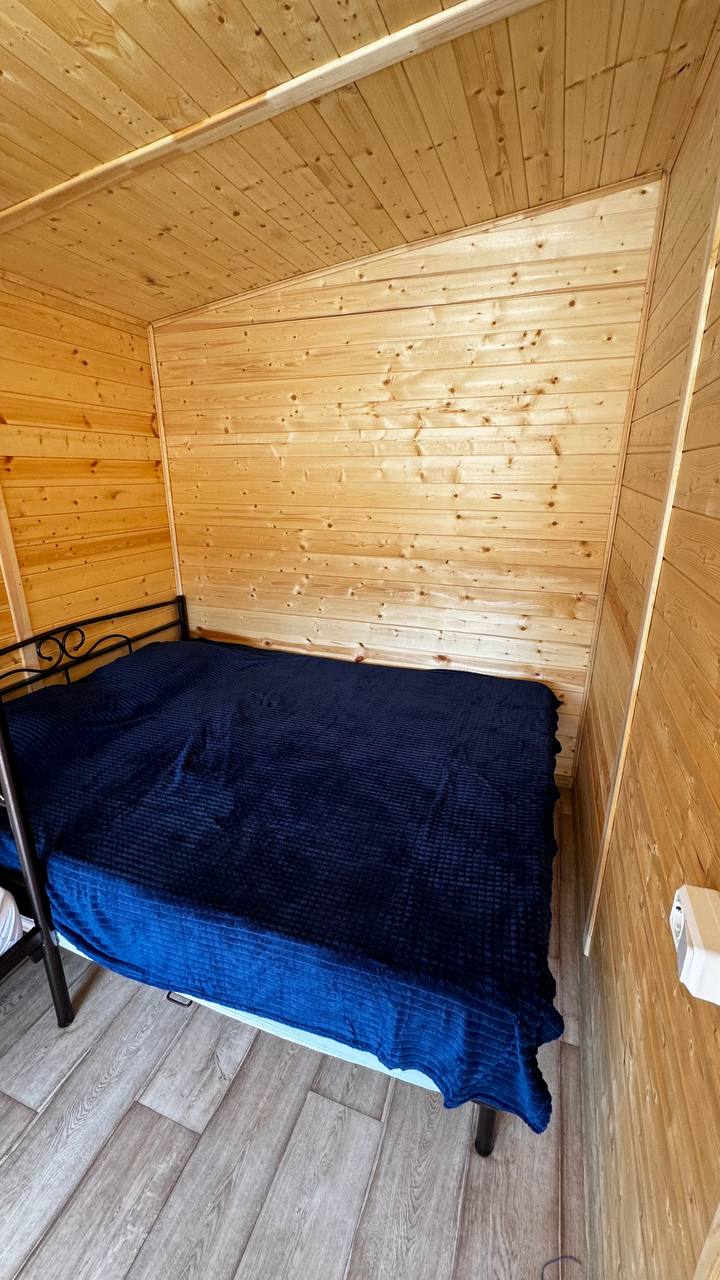 Фото Песок и дельфины