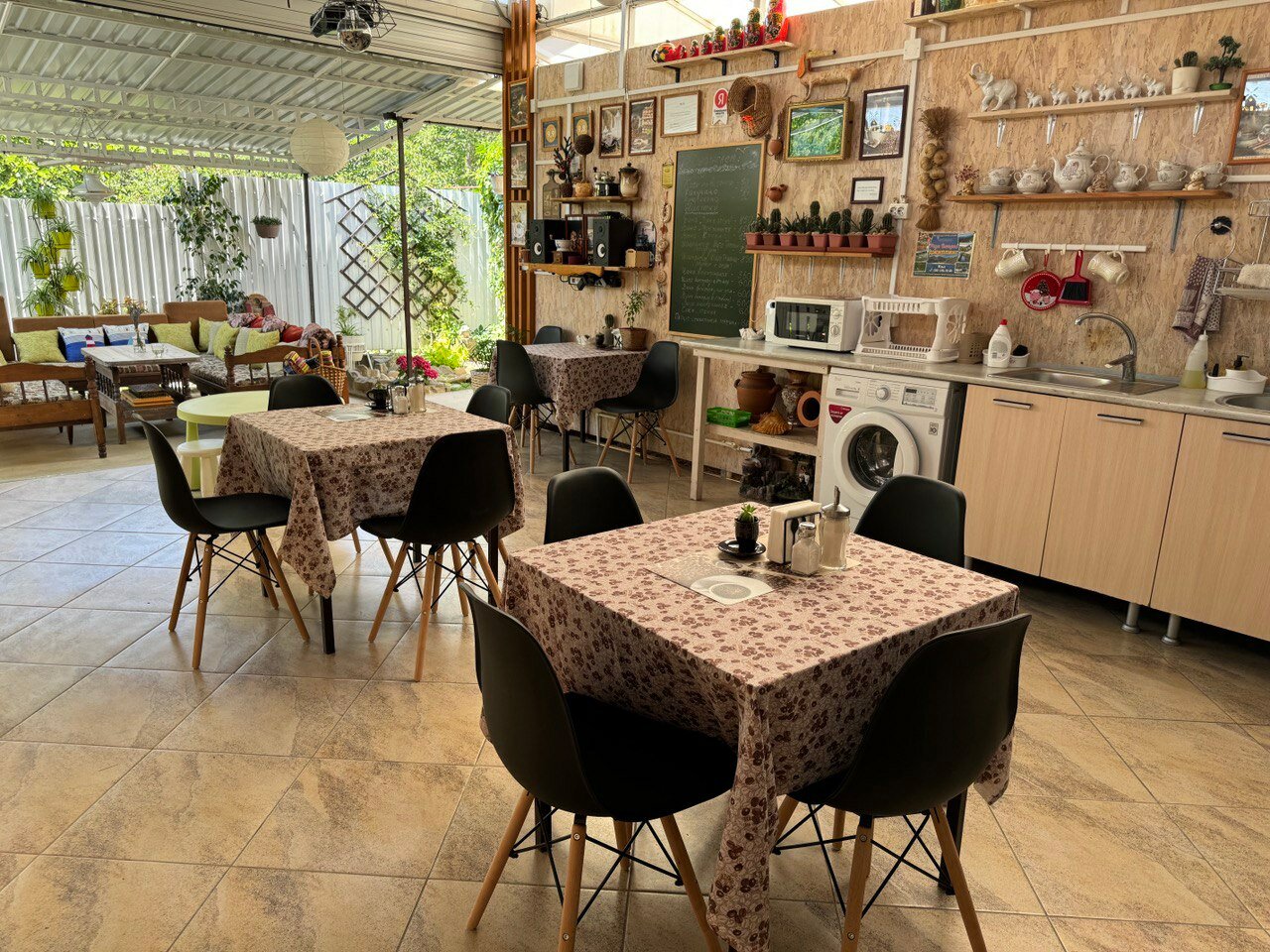 Фото Кофейное дерево