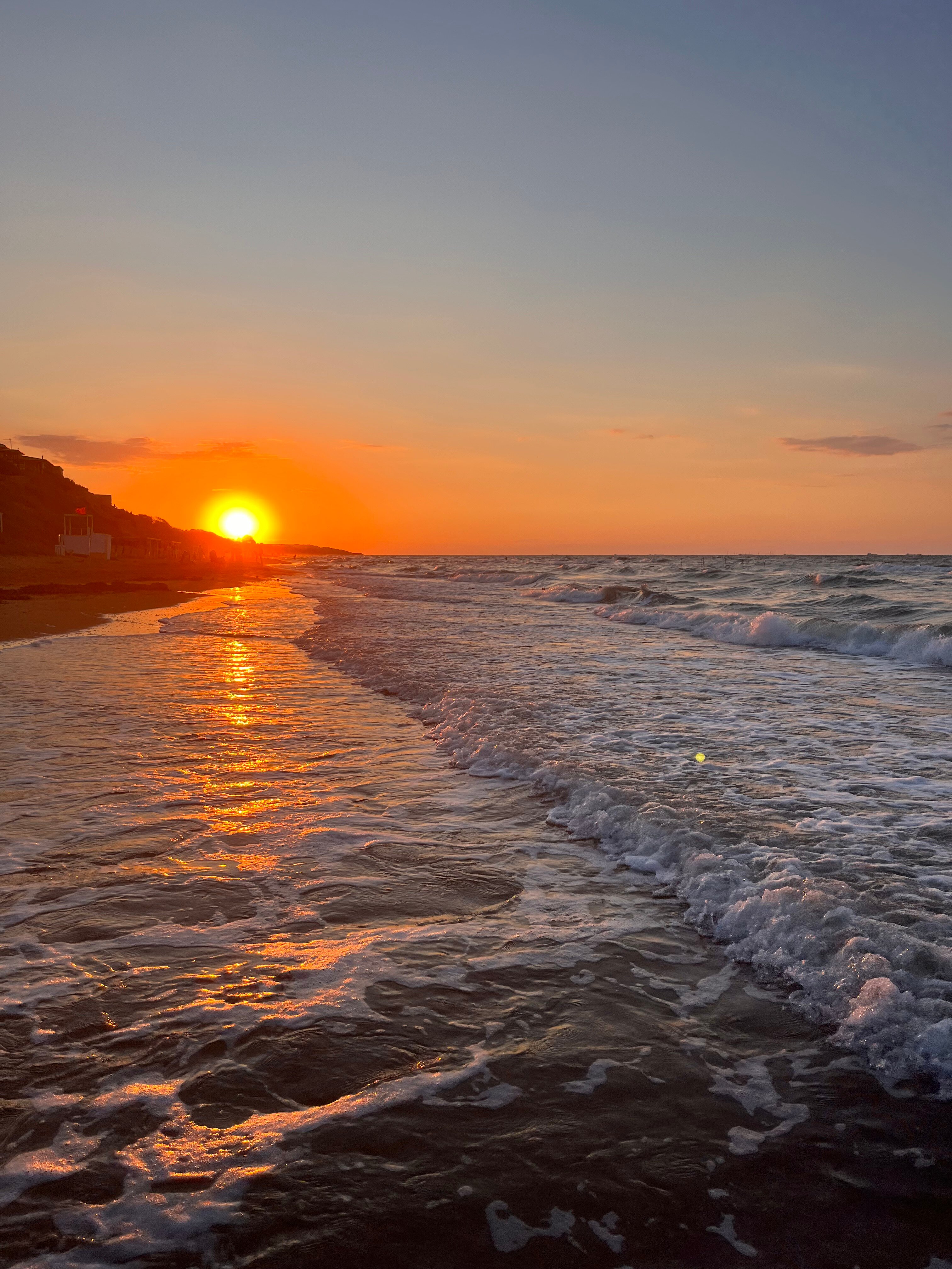 Фото Гранд Камелия