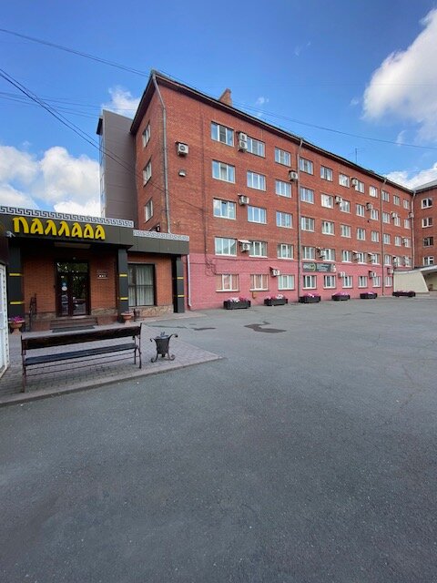 Фото Паллада