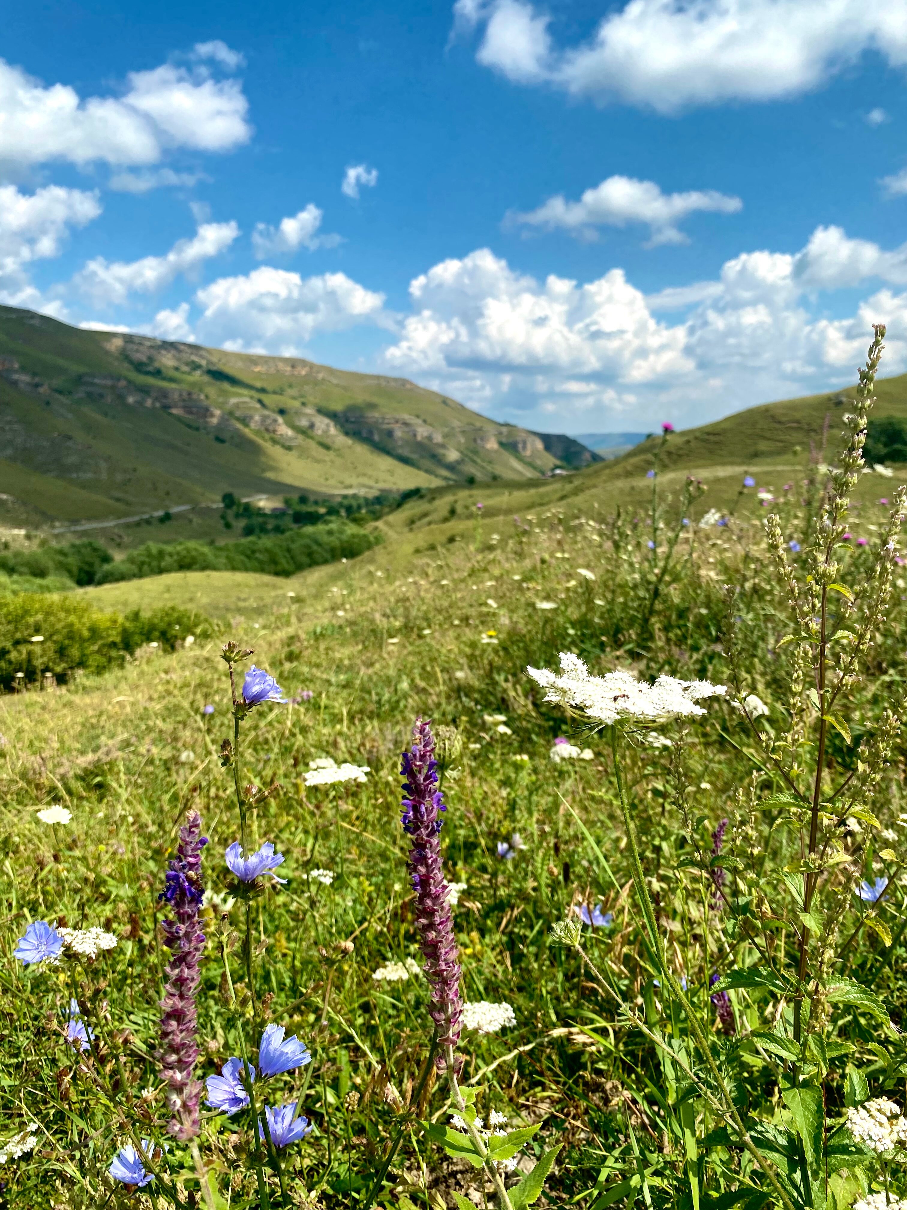 Фото Снежная Королева