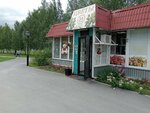 Цветы (4th Microdistrict, 11А/1), floristeria