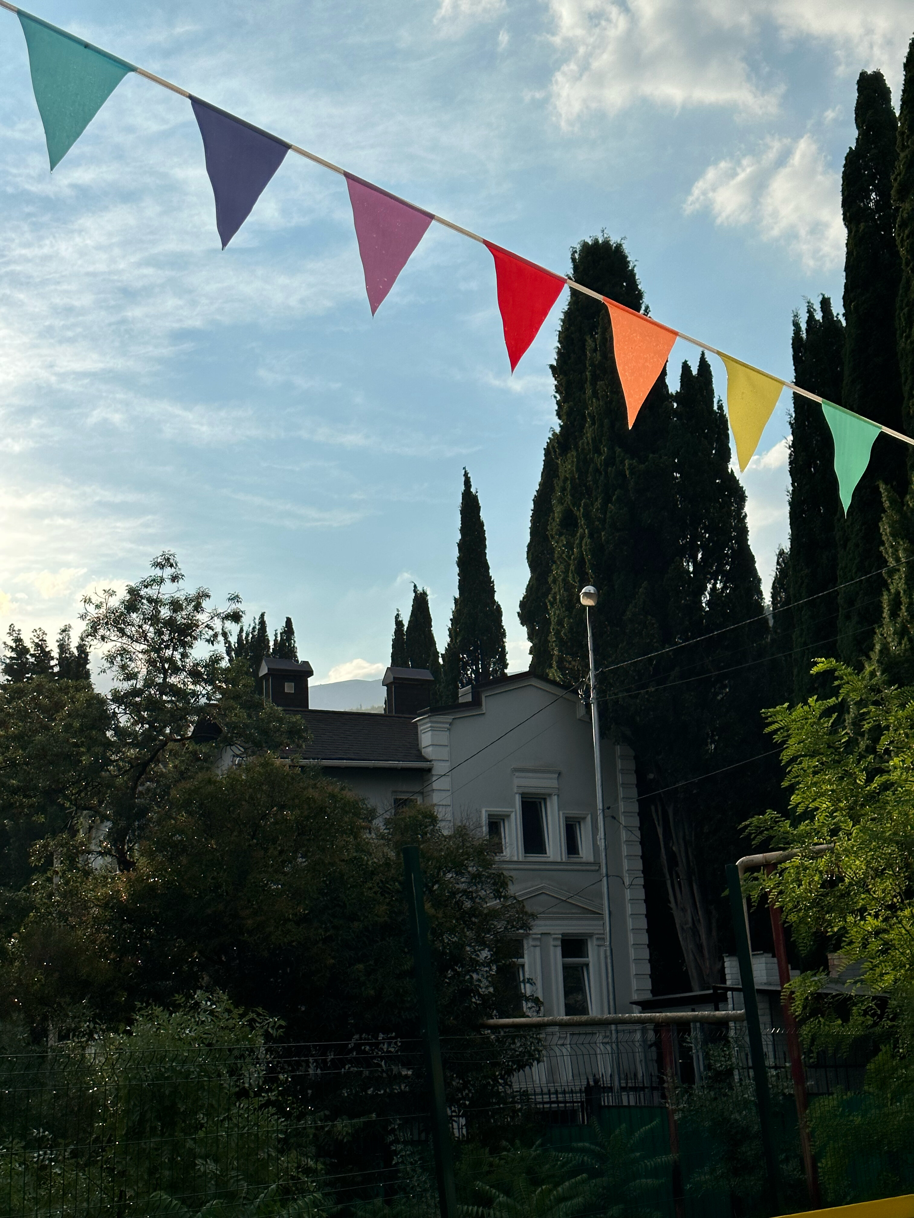 Фото Медуза