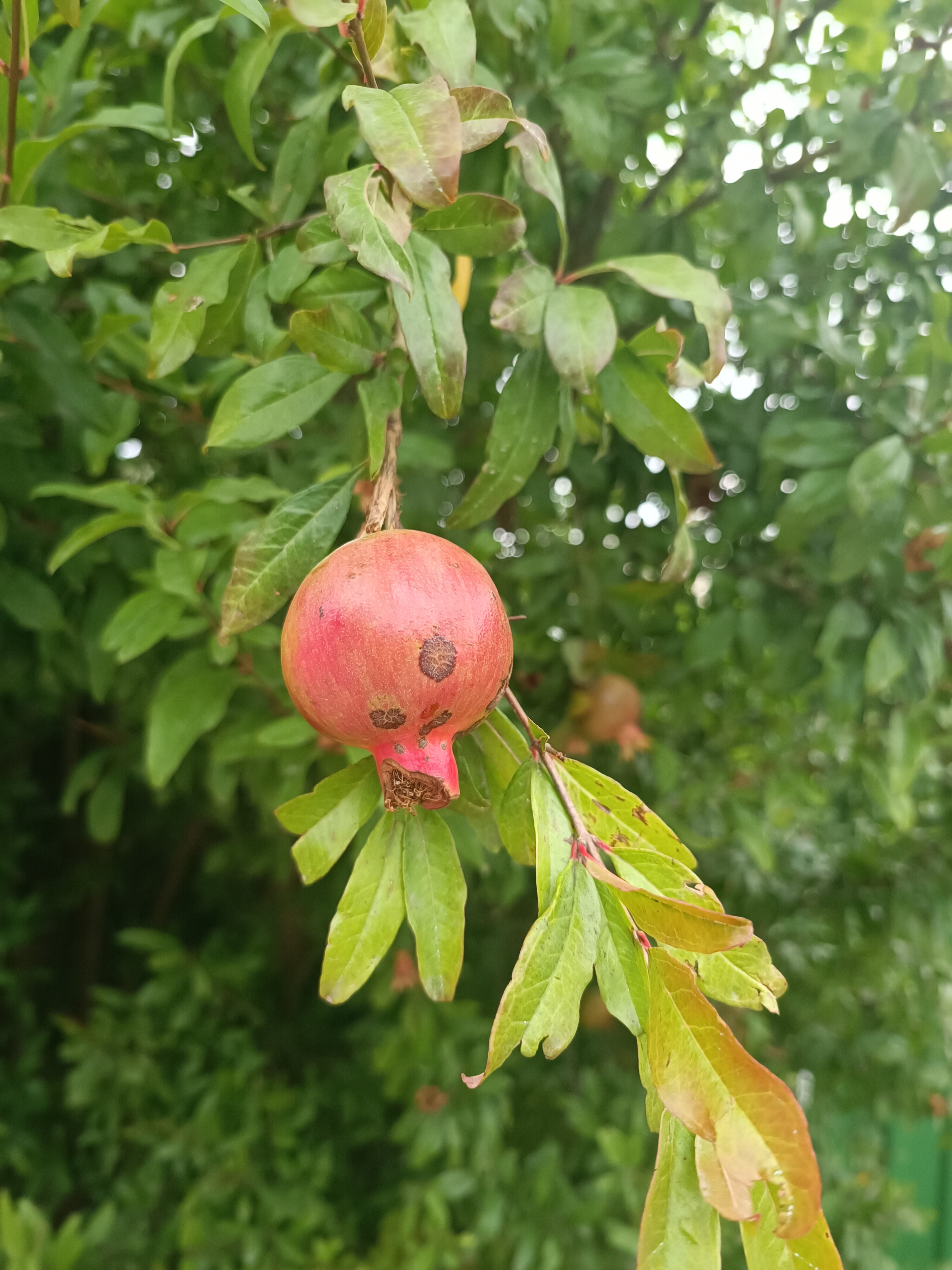 Фото Айсберг