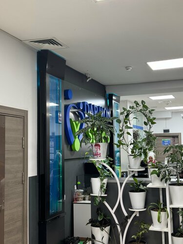 Jinsiy fotosuratlar yaqin