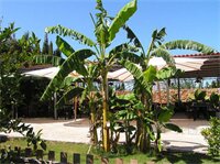 Фото Agriturismo Agave