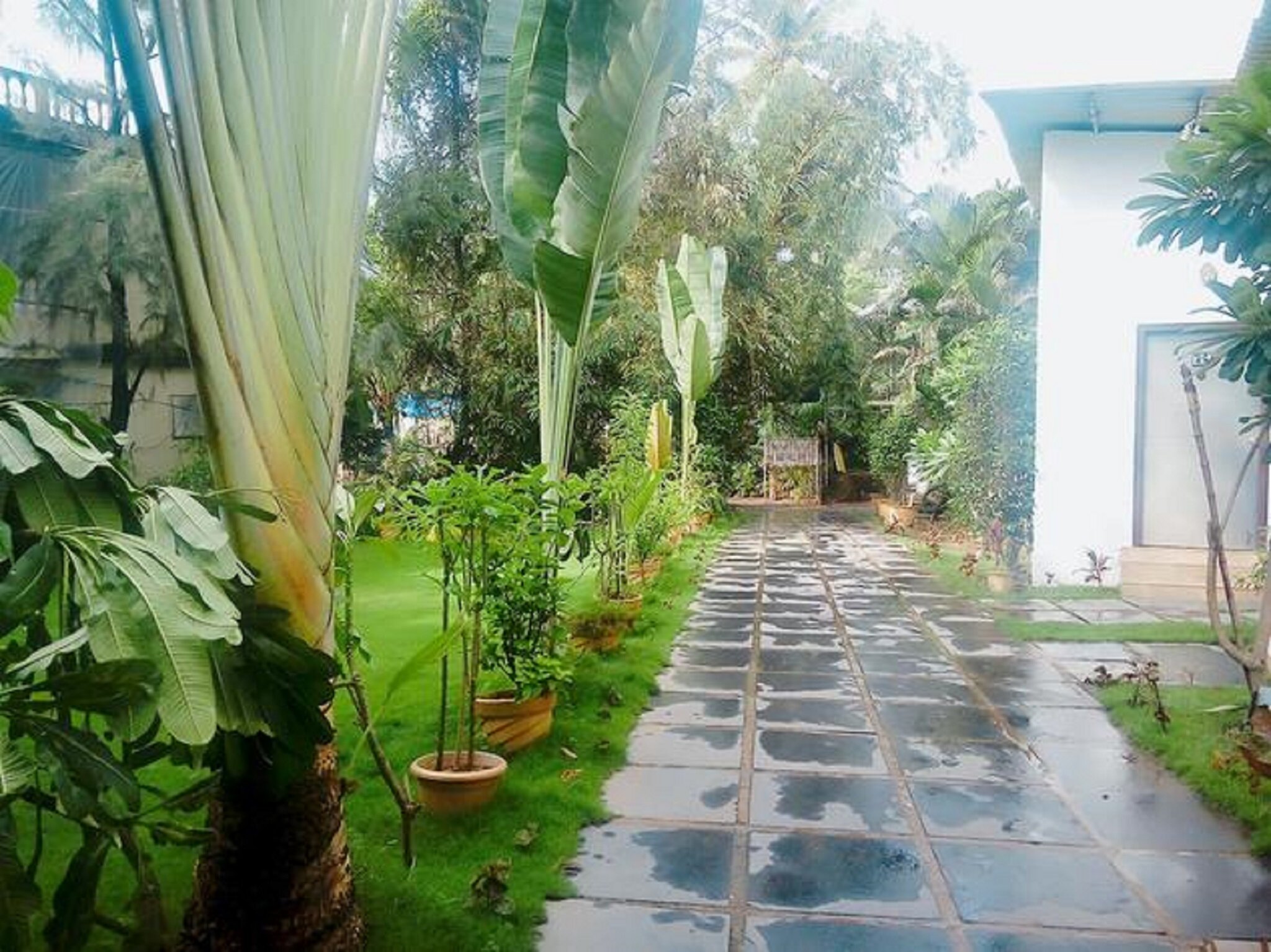 Фото Rococco Ashvem Resort