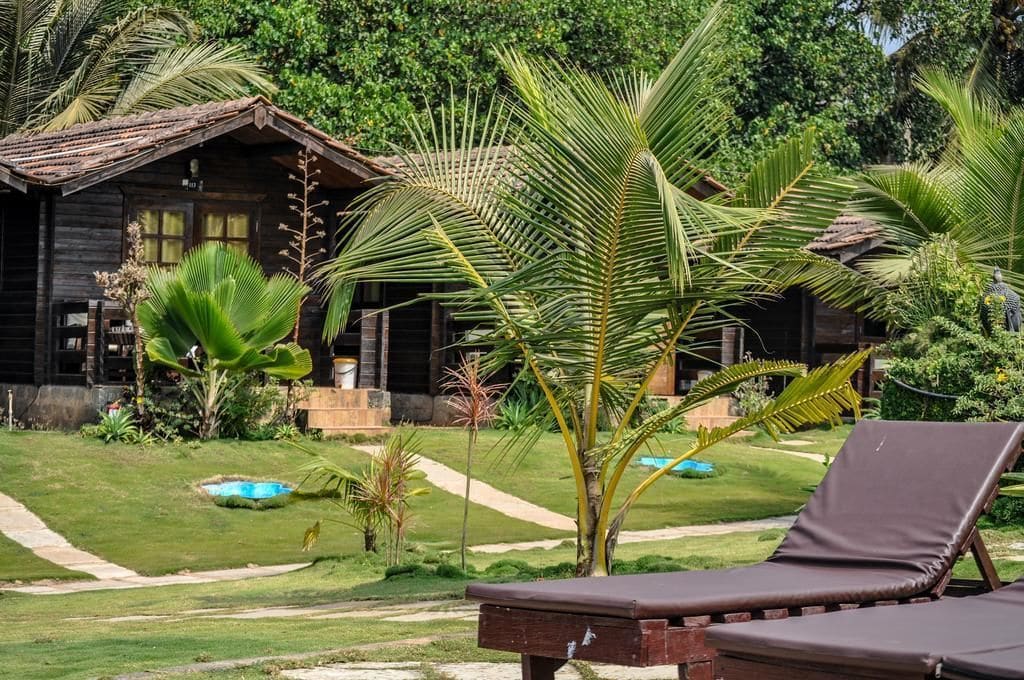 Фото Lotus Sutra