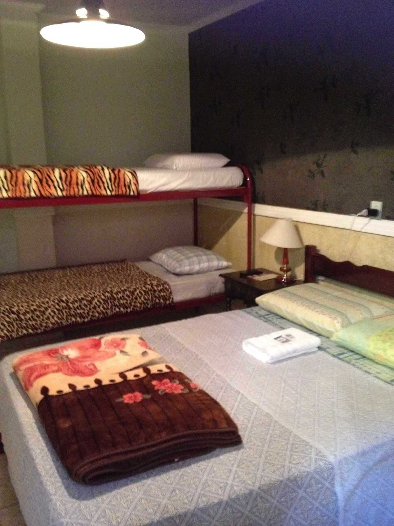 Фото Pousada Ibituruna