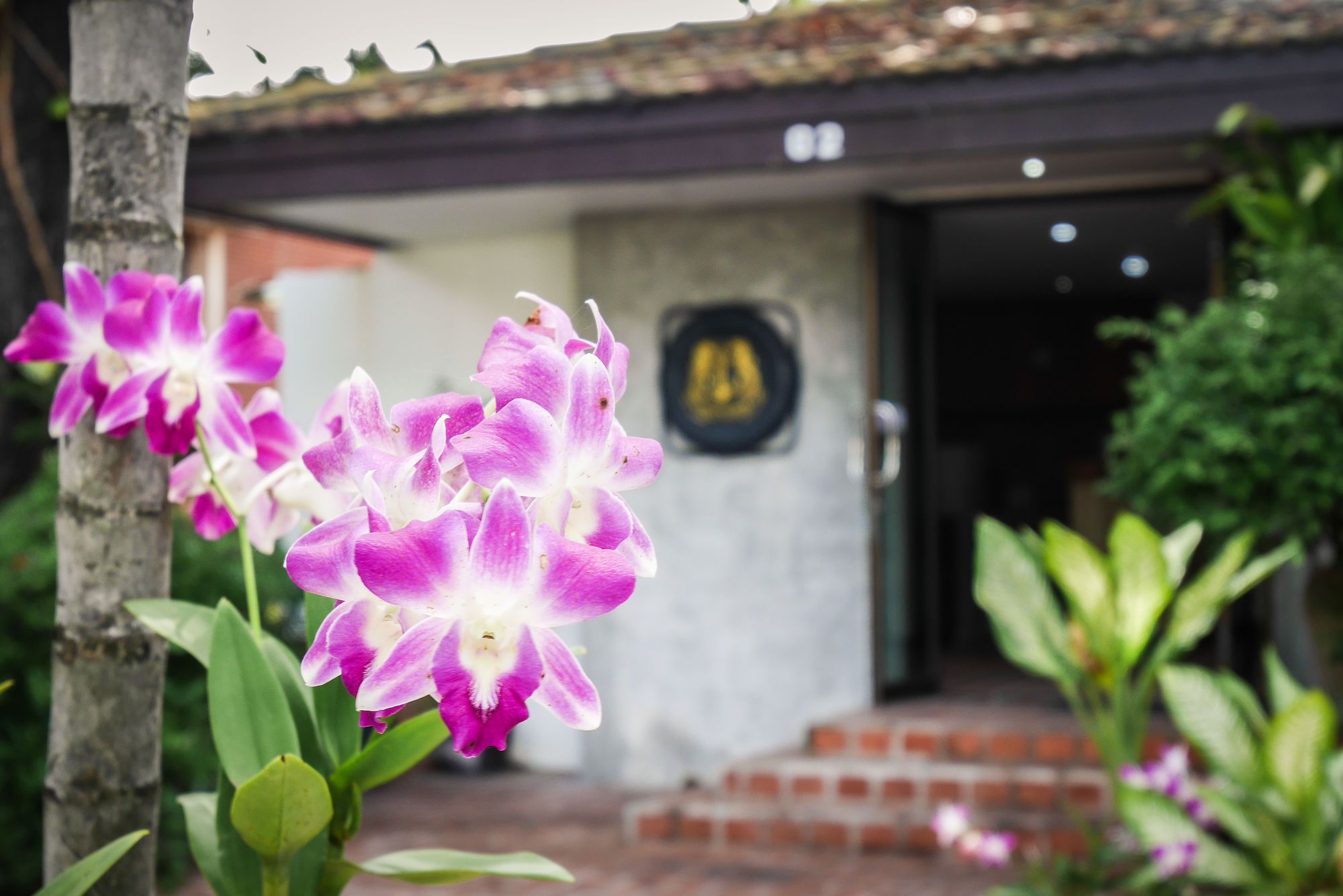 Фото Villa Navin 