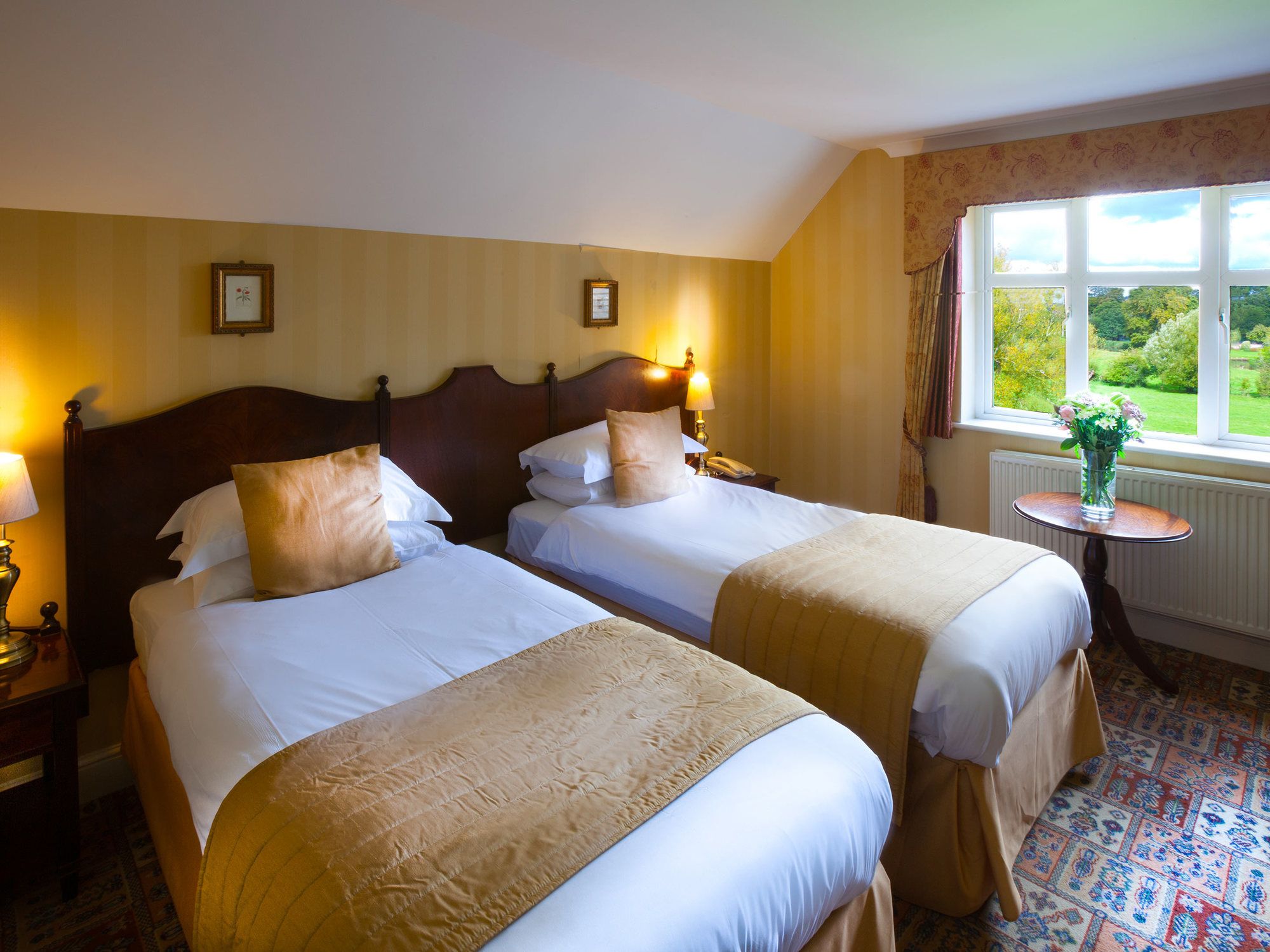 Фото The Riverside