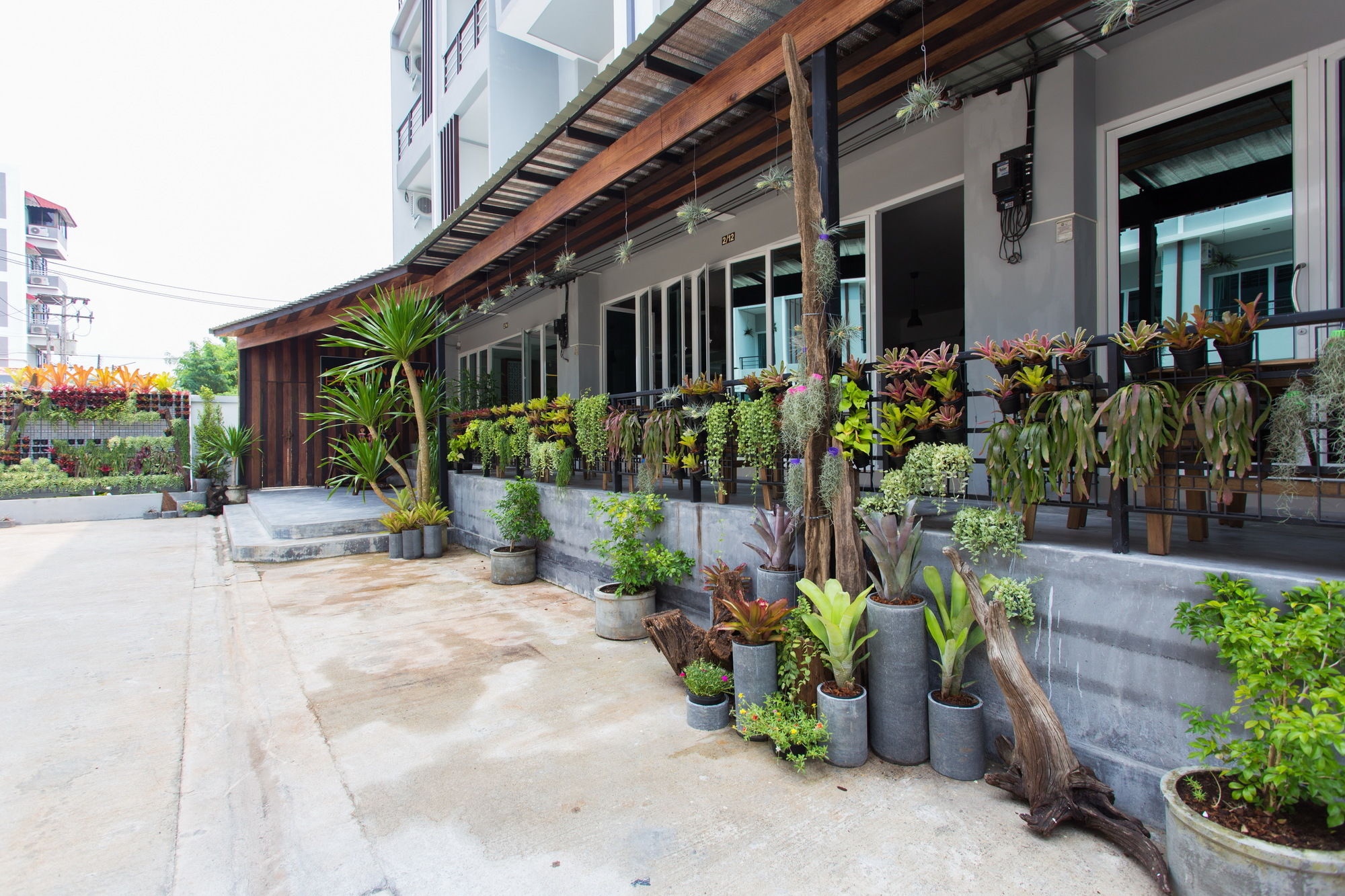 Фото Krabi Inn & Omm Hotel