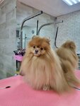 Bernard (Syuyumbike Street, 52А), pet salon
