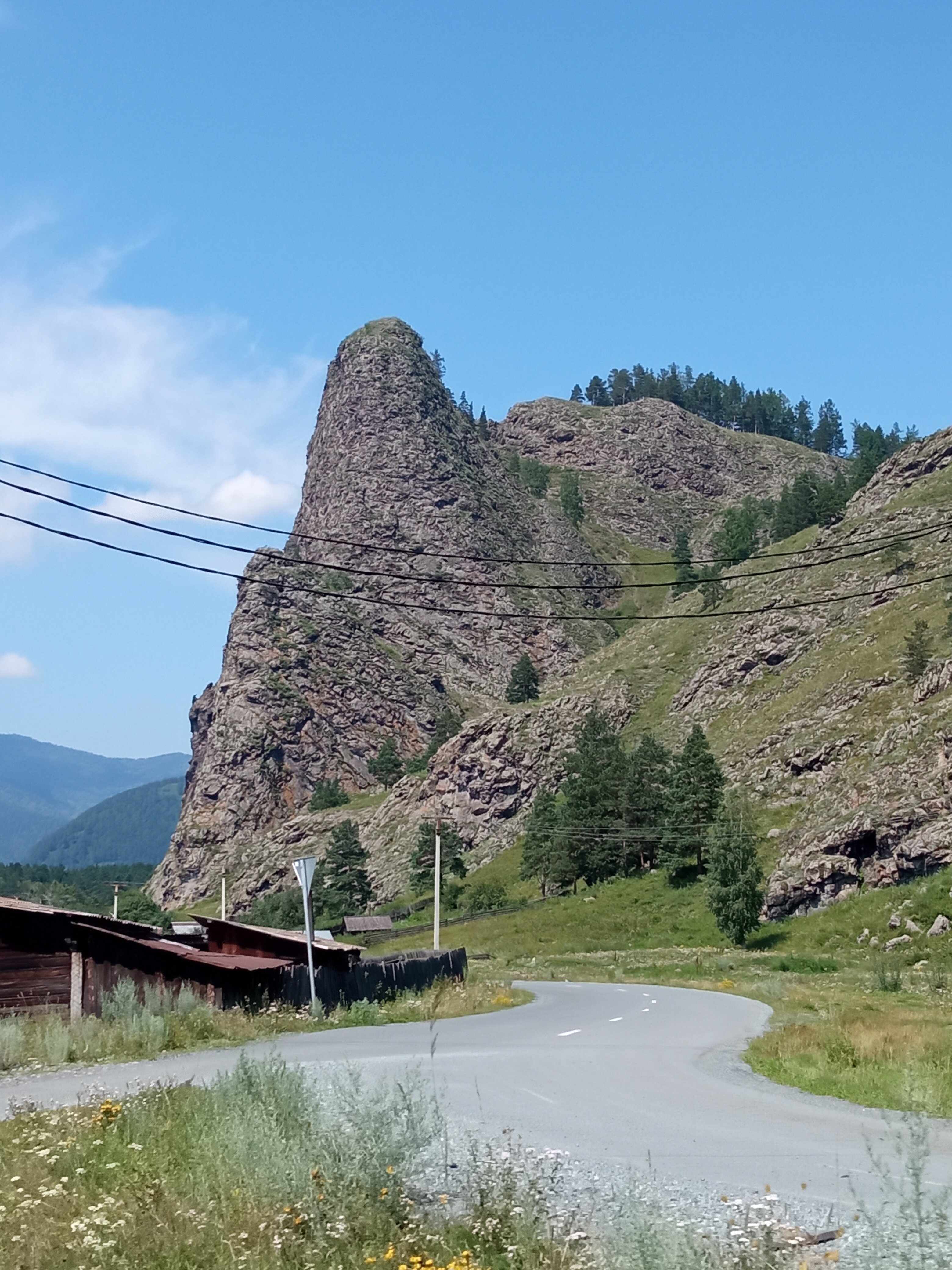 Фото Чайное гнёздышко