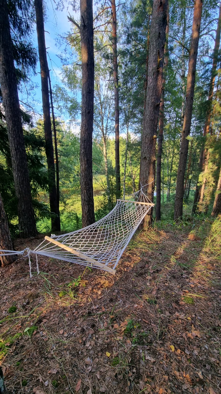 Фото Эко-деревня Сивцево