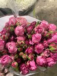 Цветы (gorodskoy okrug Chelyabinsk, Tsentralniy District, ploshchad MOPRa, 7), floristeria