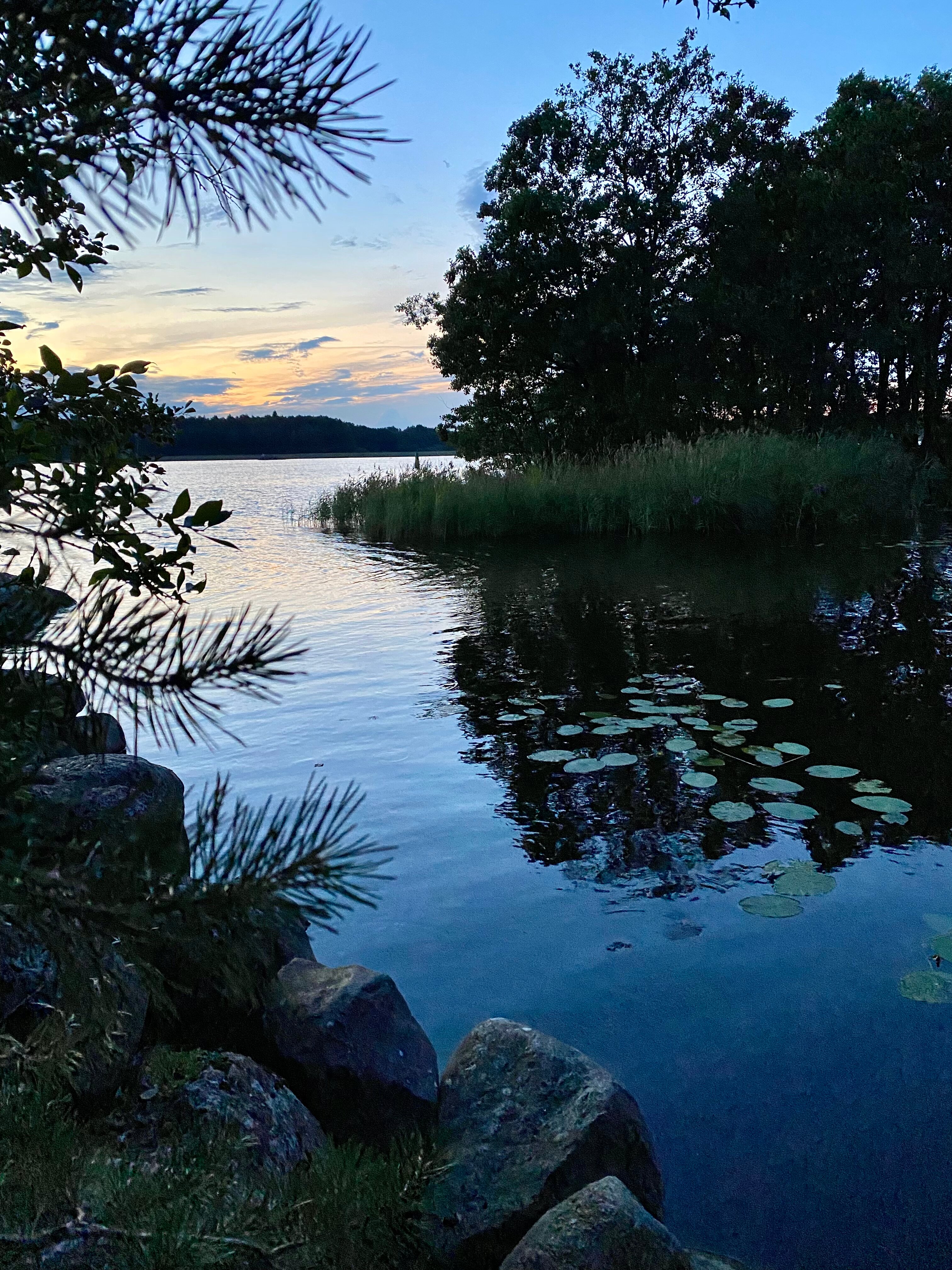 Фото Фрегат