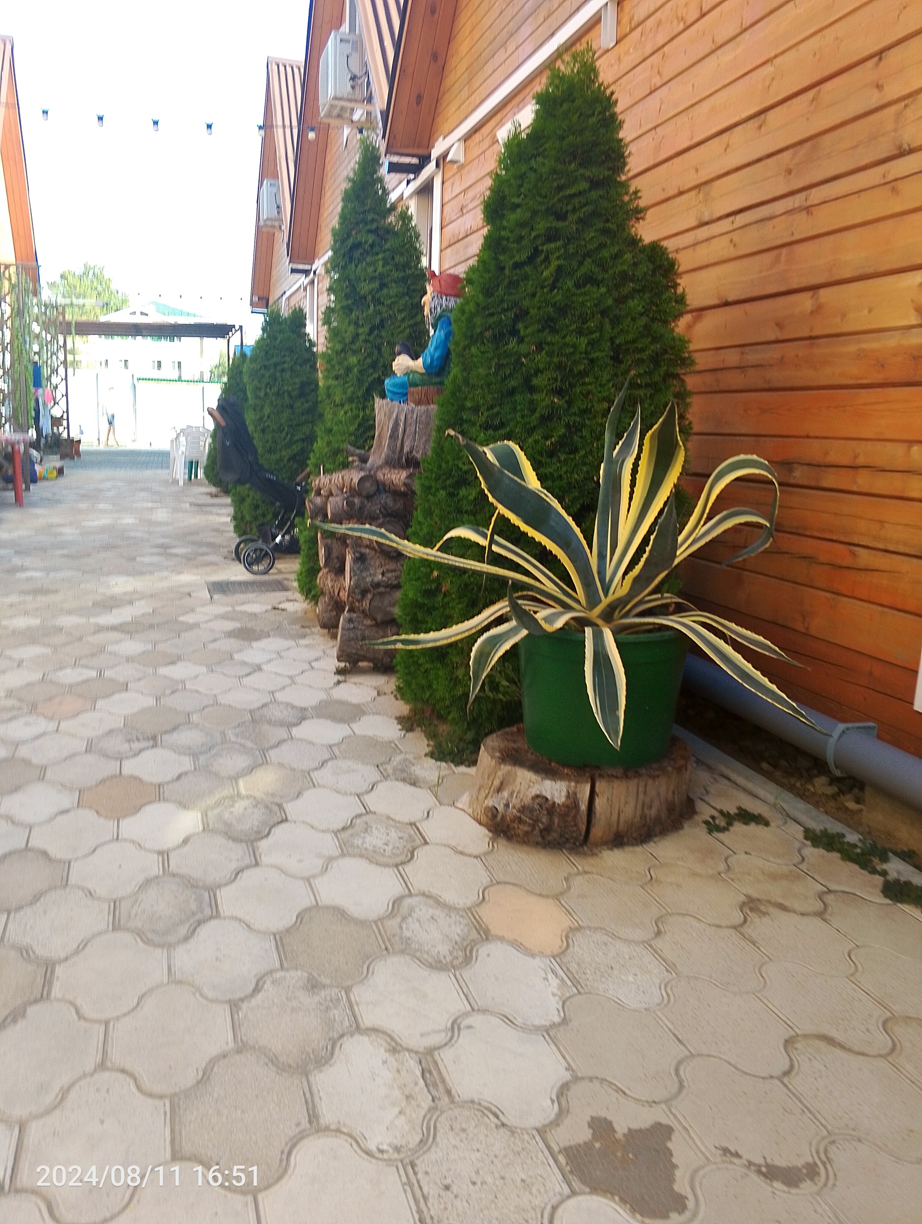 Фото Арабеска