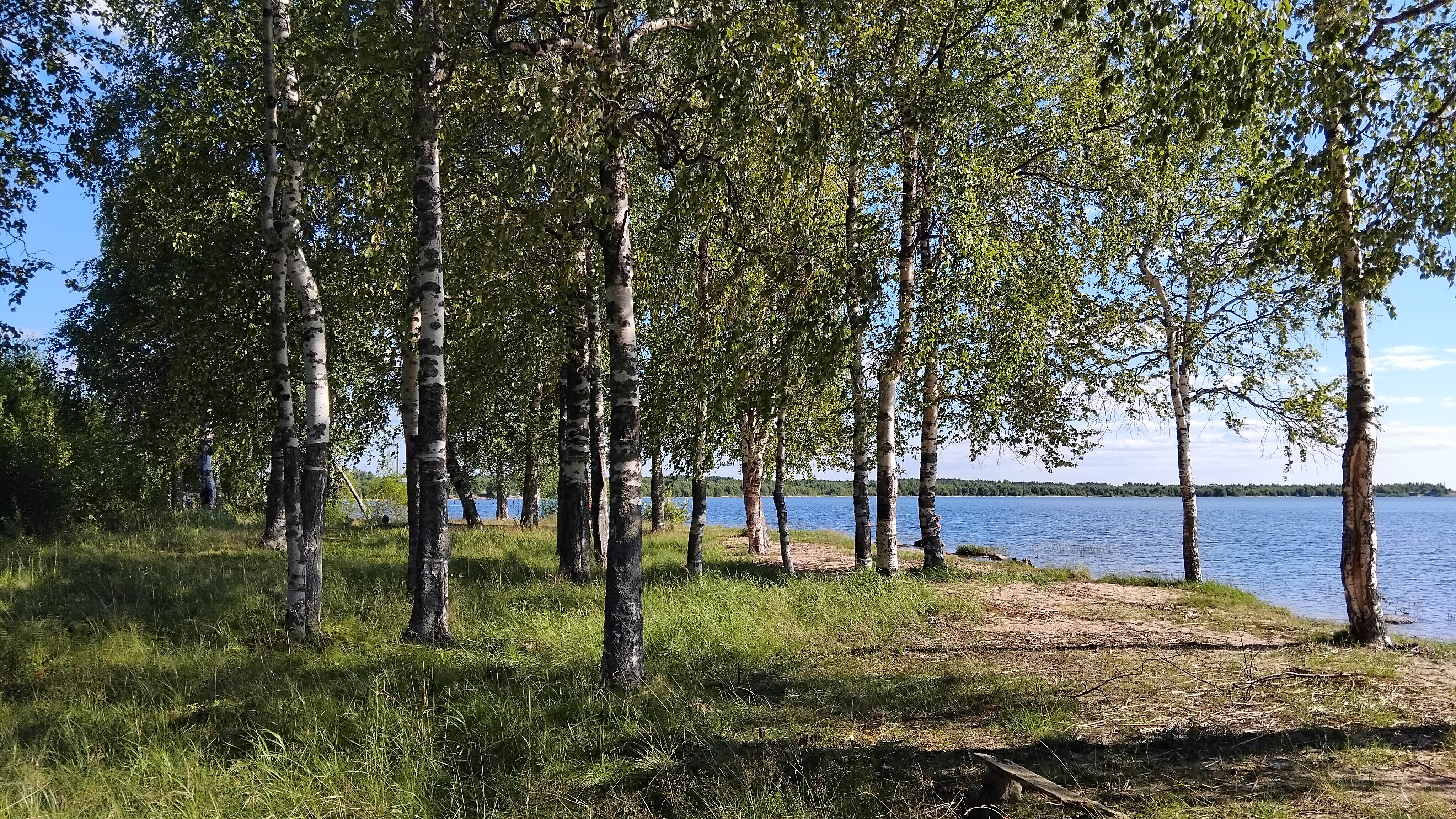 Фото Пяльма